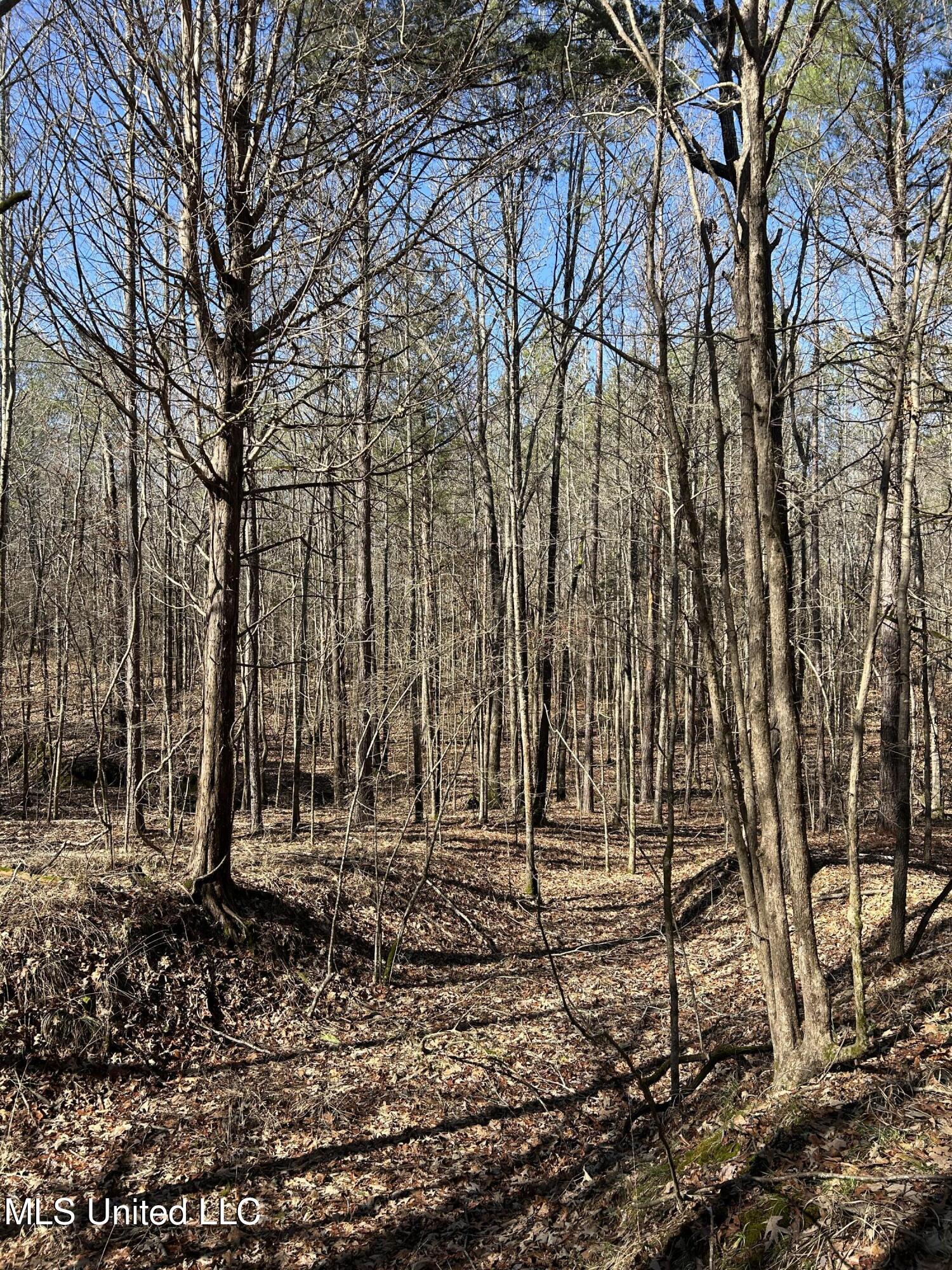 Phillips Road Property Photo 28