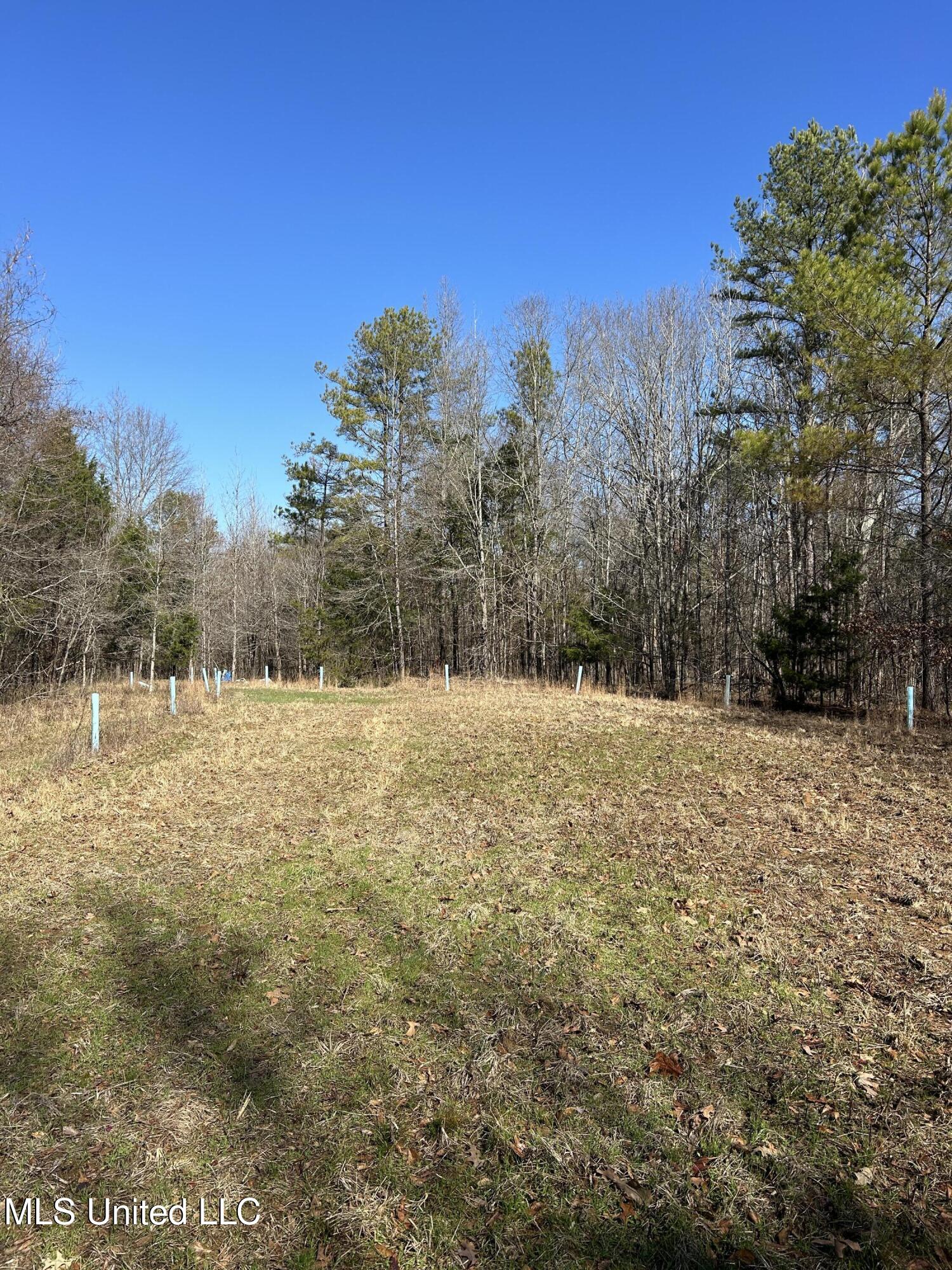 Phillips Road Property Photo 29