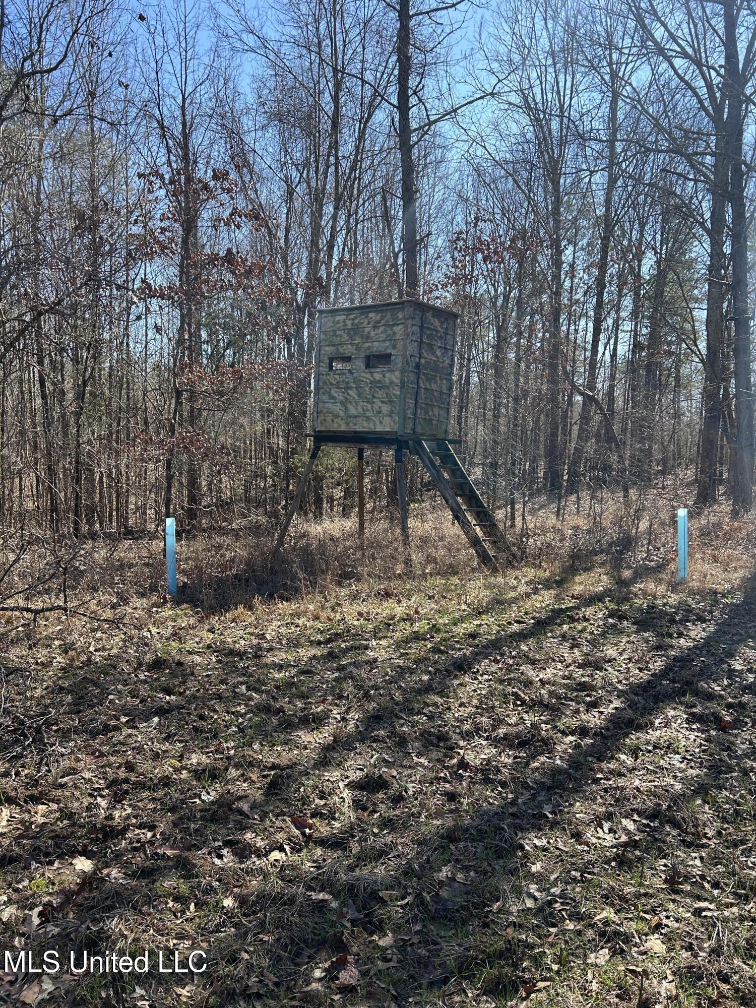 Phillips Road Property Photo 30