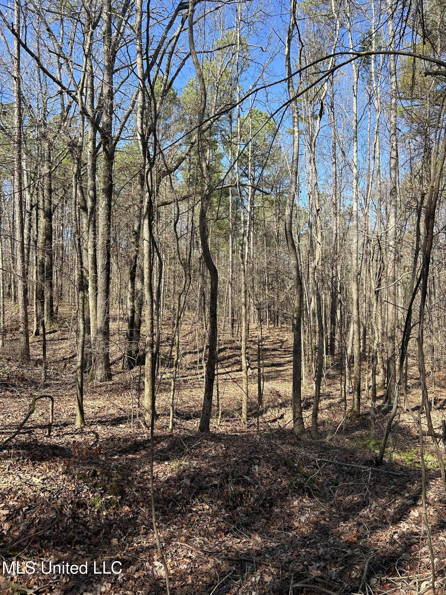 Phillips Road Property Photo 31