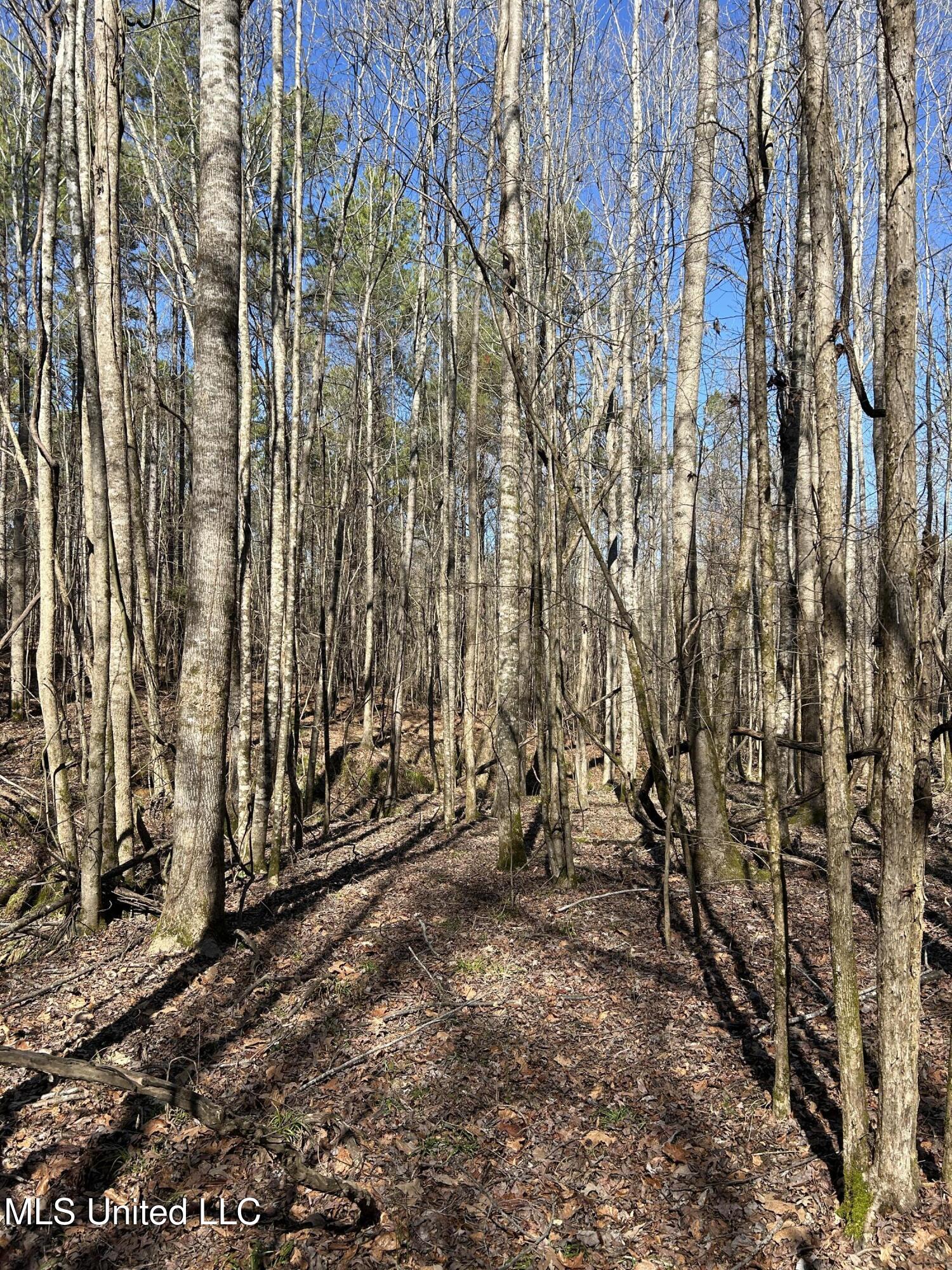 Phillips Road Property Photo 33