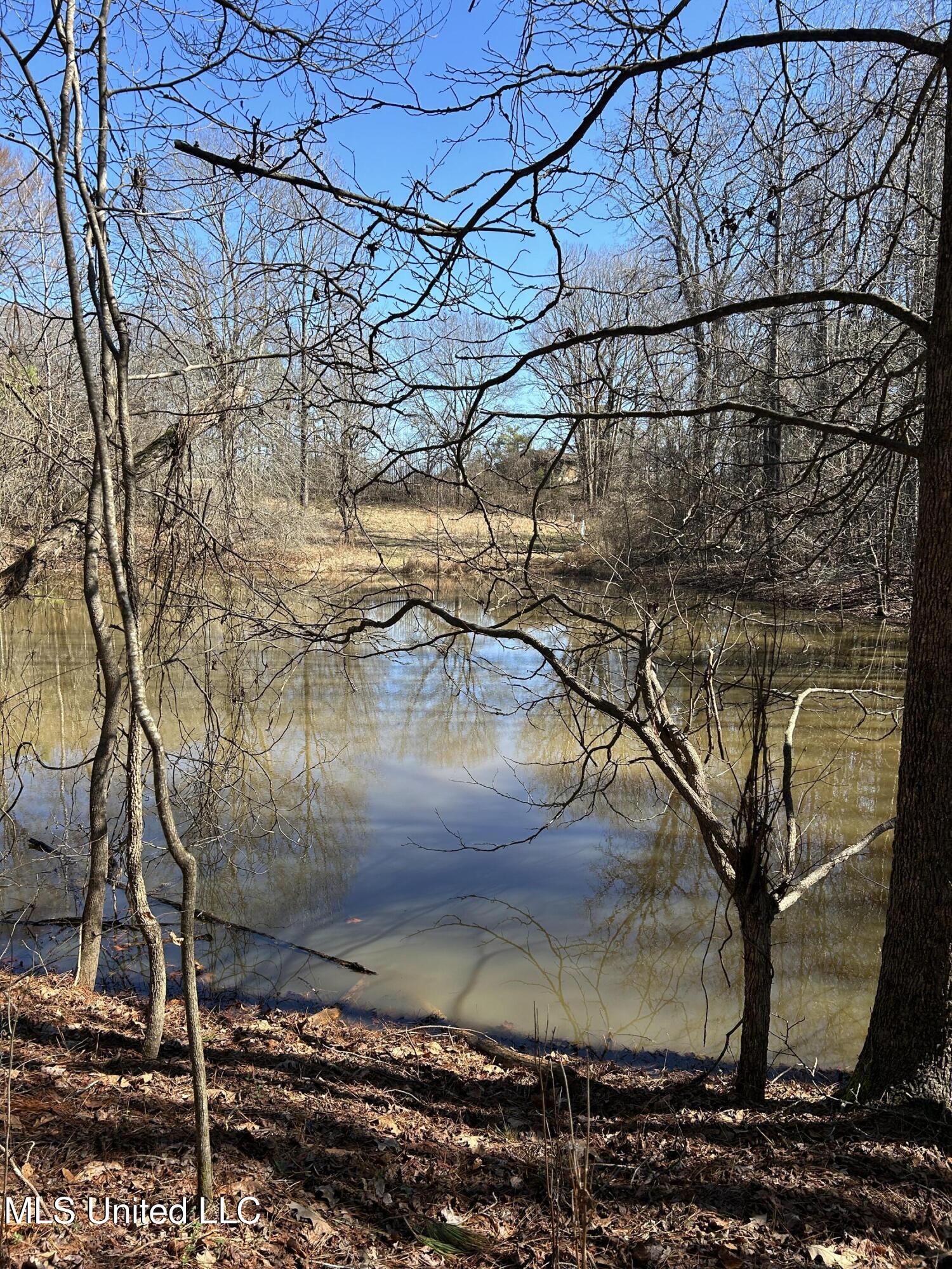 Phillips Road Property Photo 34