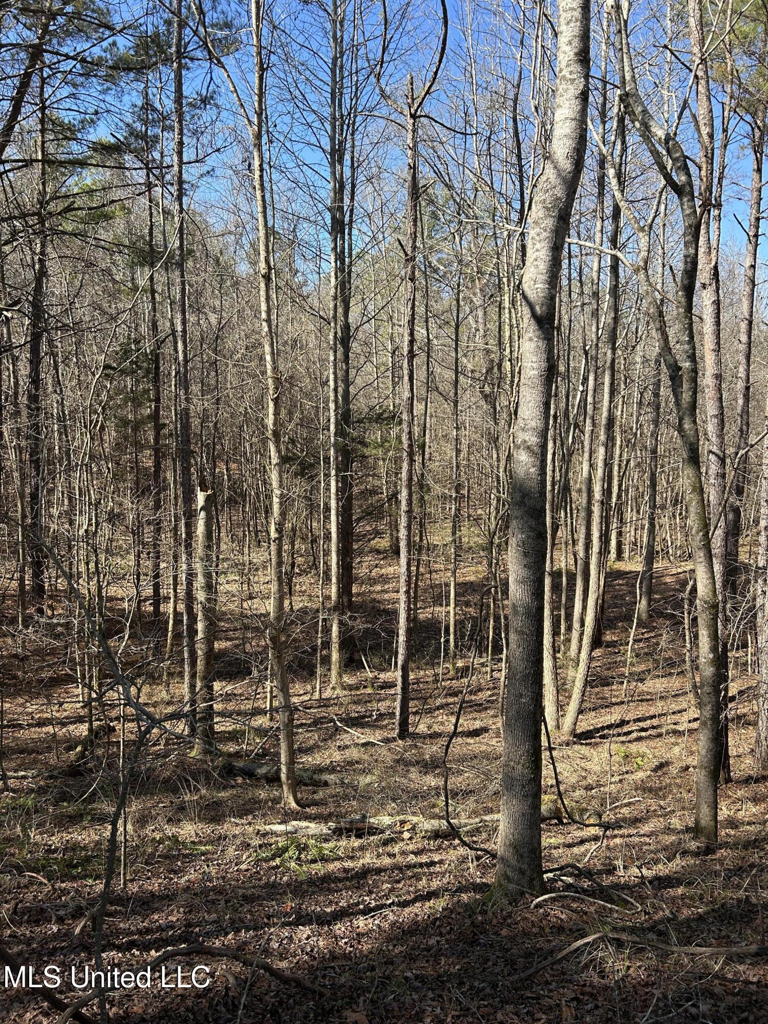 Phillips Road Property Photo 35