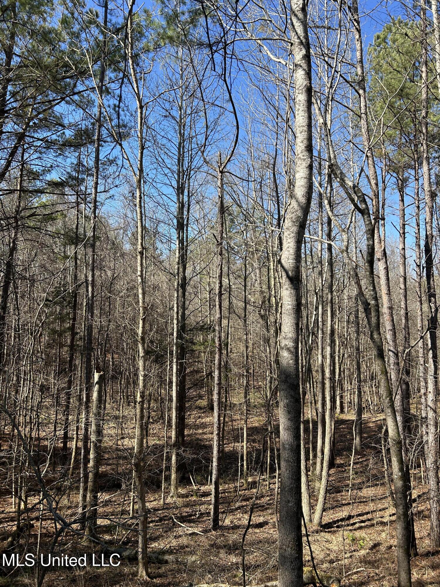 Phillips Road Property Photo 36