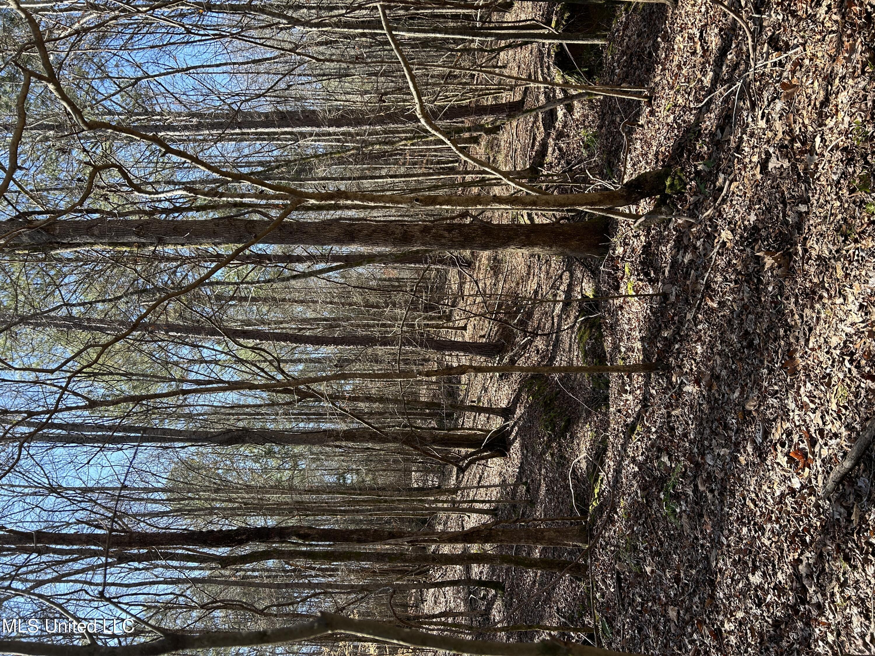 Phillips Road Property Photo 37