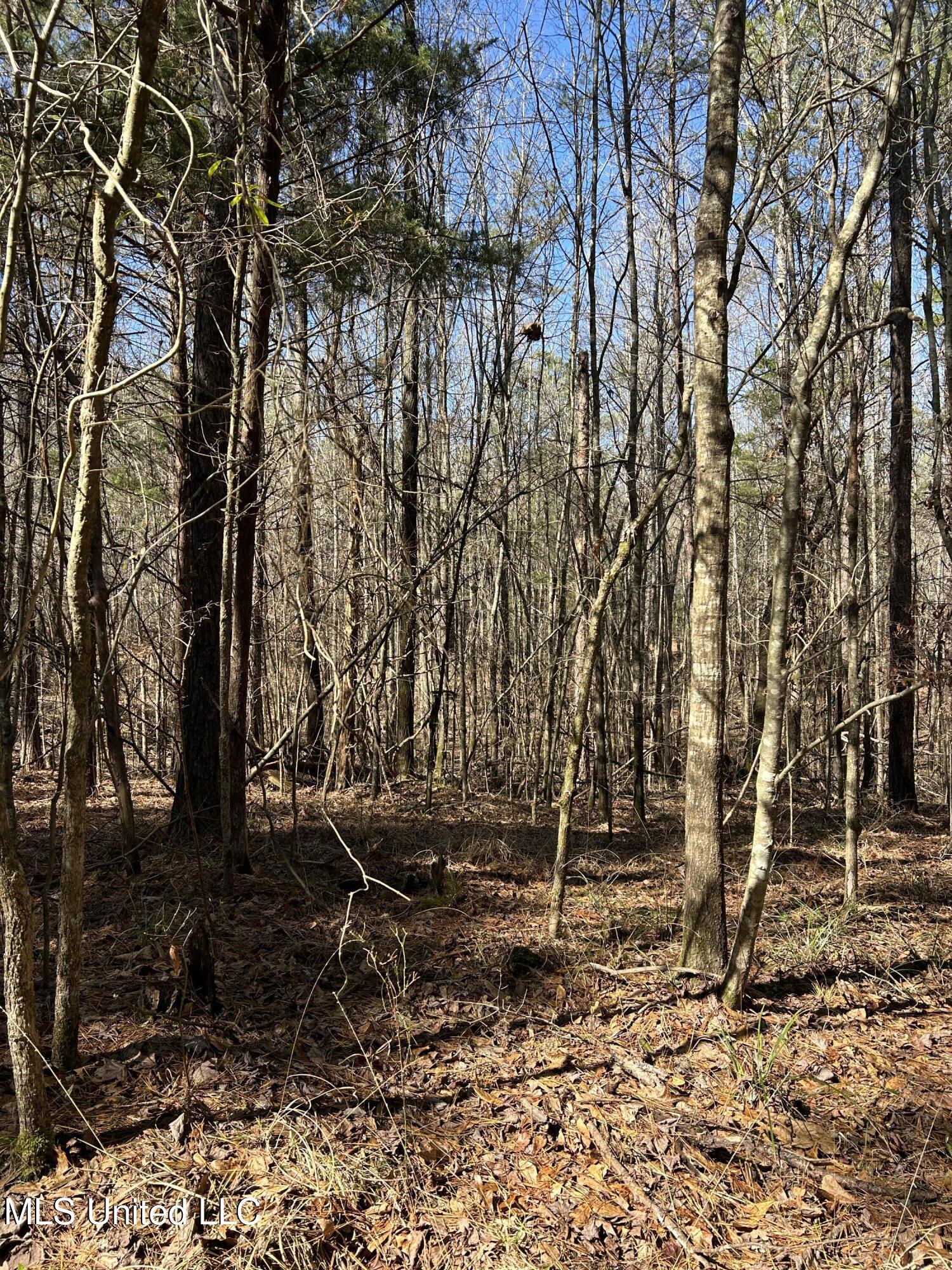 Phillips Road Property Photo 38