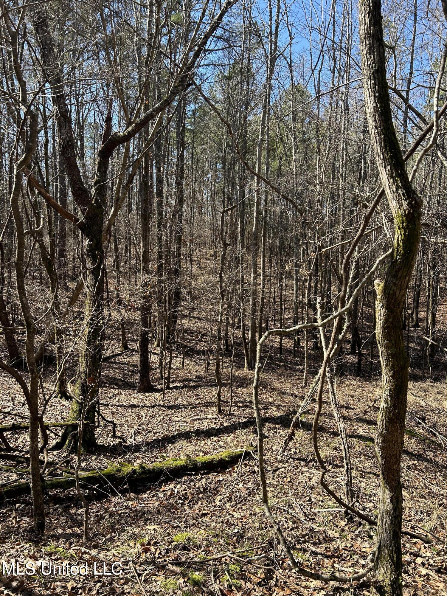 Phillips Road Property Photo 39