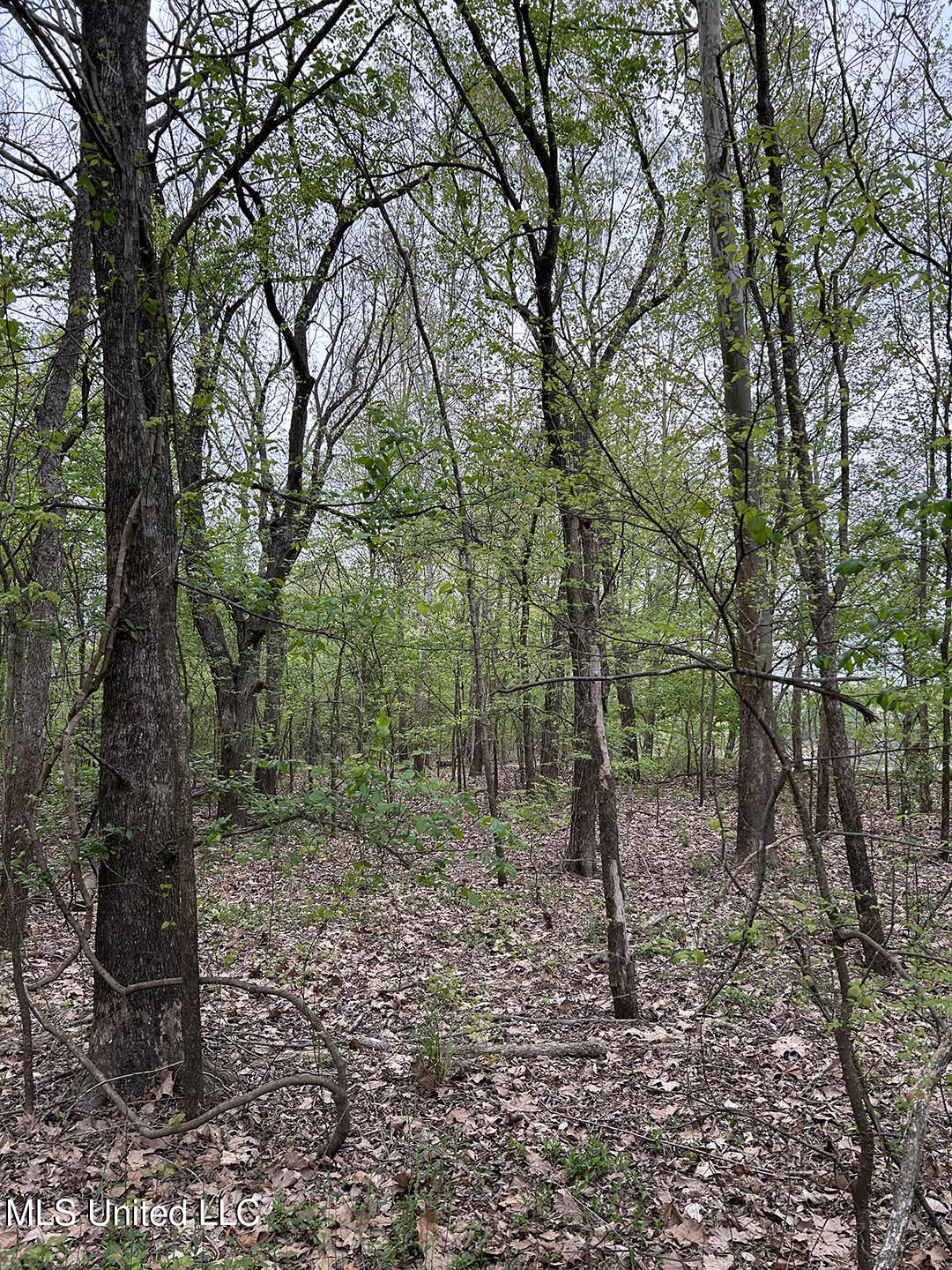 County Road 150 Property Photo 6