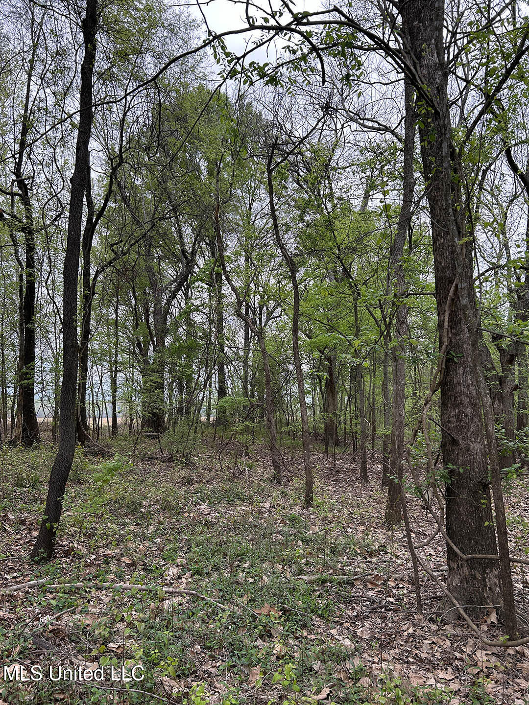 County Road 150 Property Photo 7