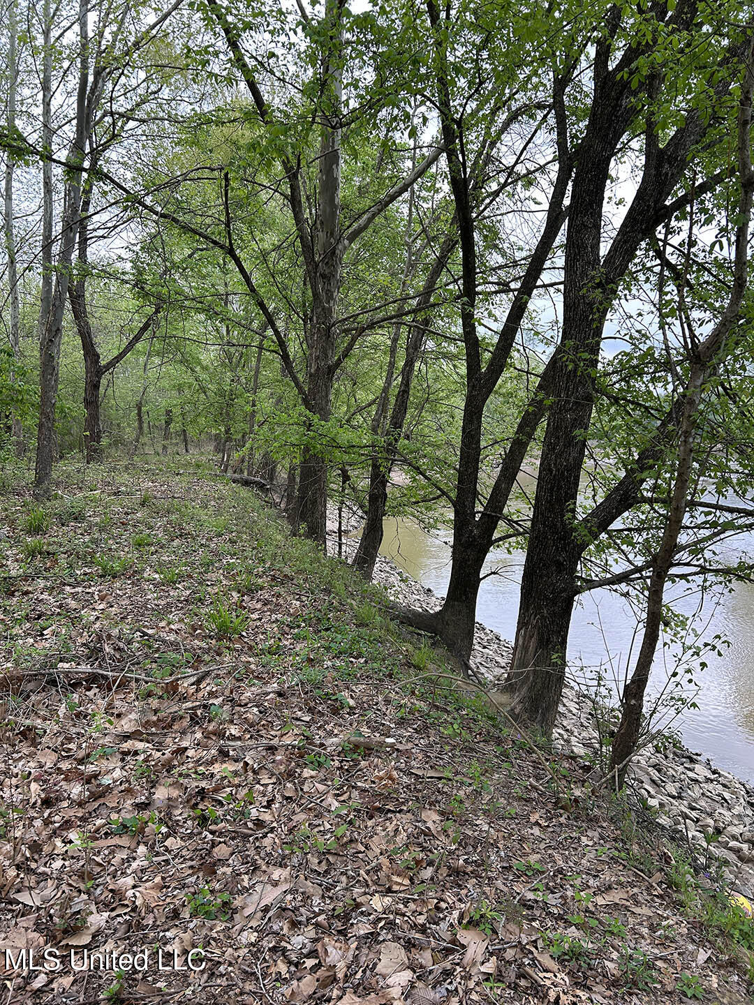 County Road 150 Property Photo 9