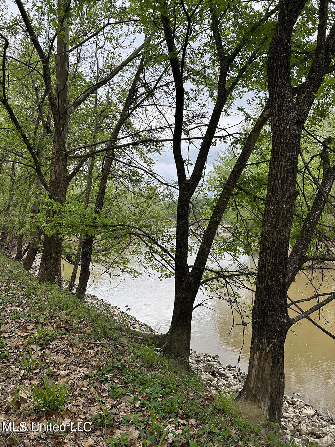 County Road 150 Property Photo 11
