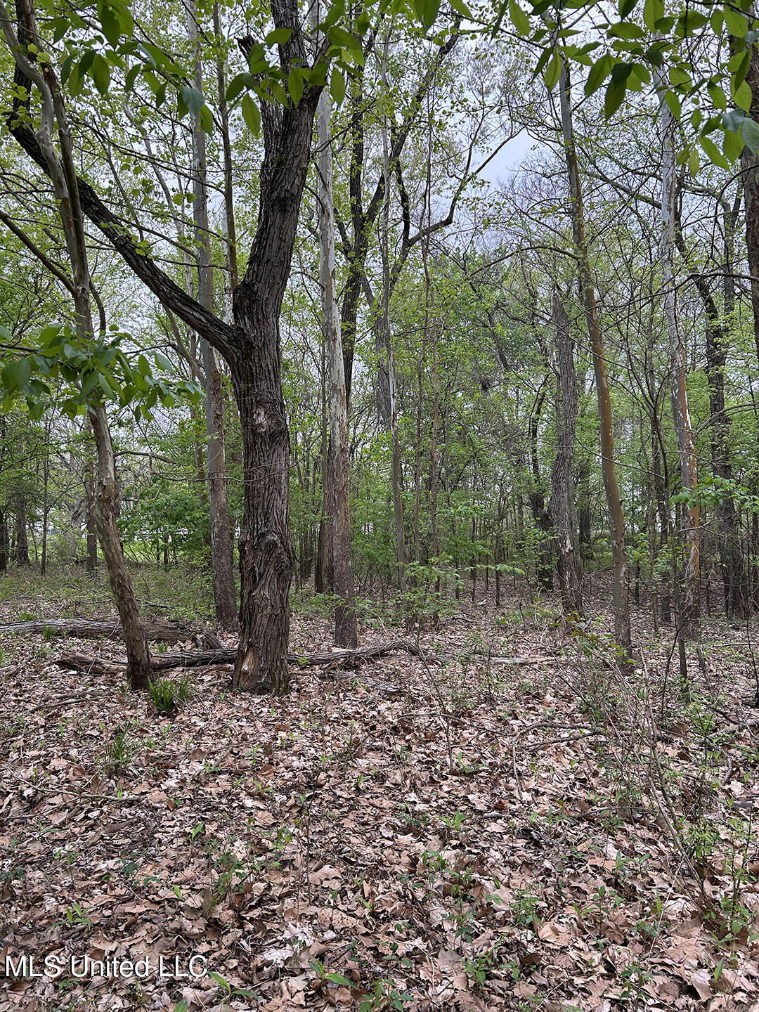 County Road 150 Property Photo 12