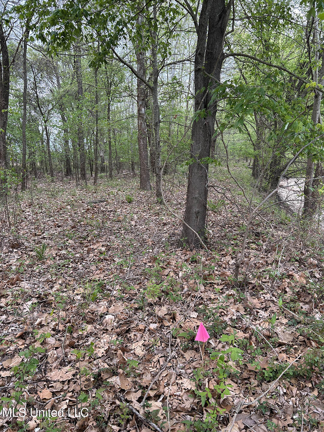 County Road 150 Property Photo 18