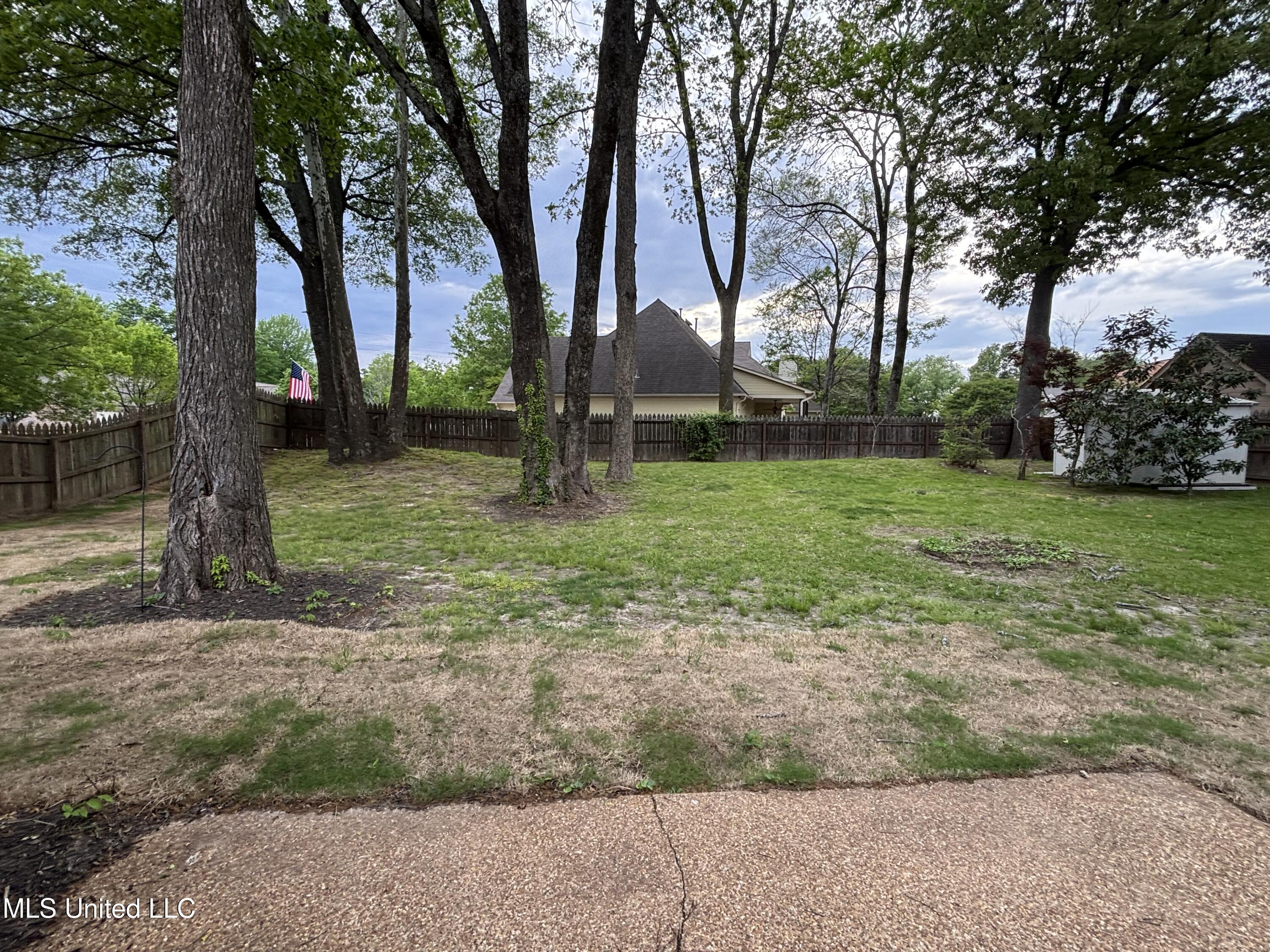 1705 Cedar Lake Cove Property Photo 31