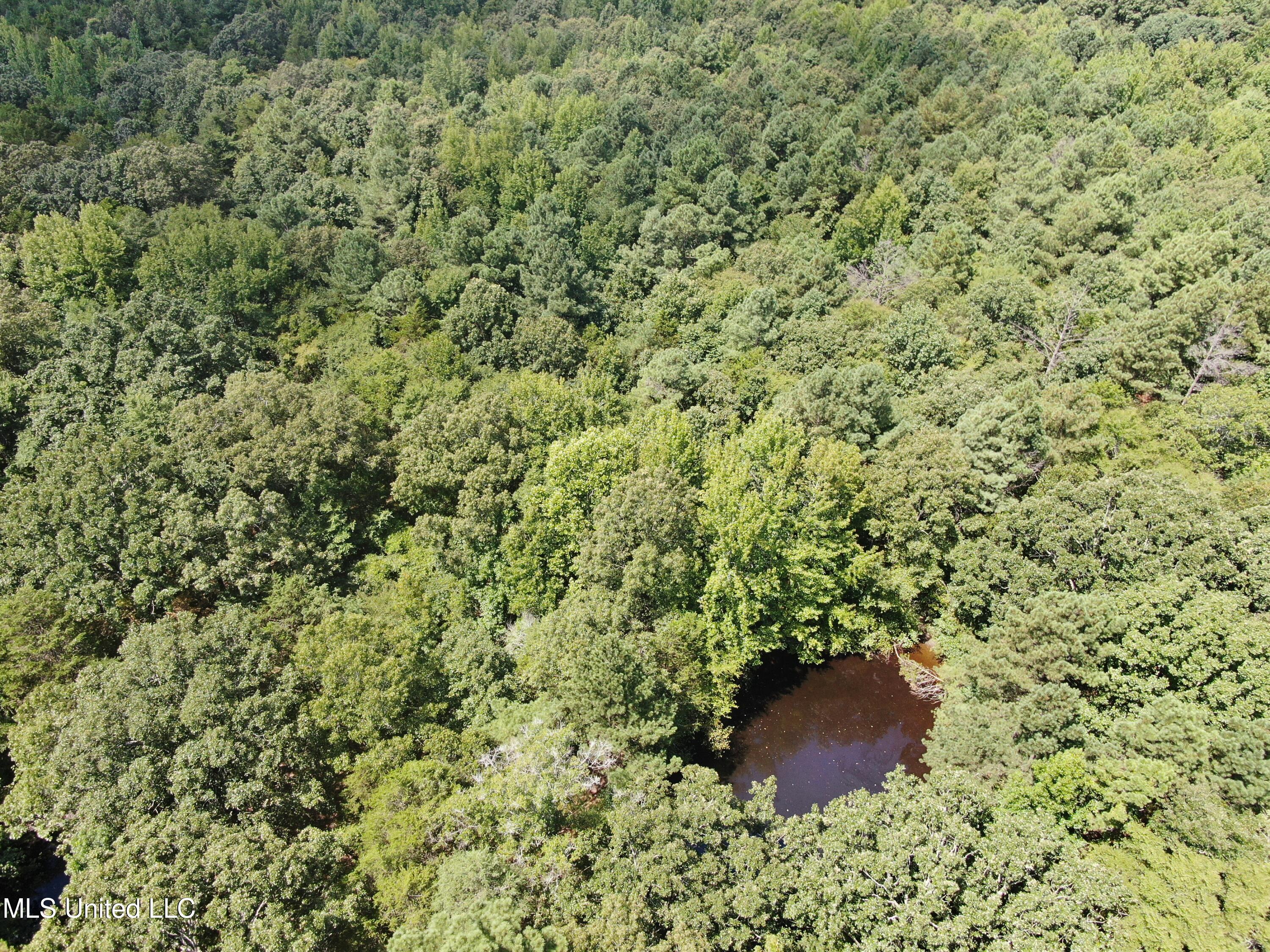 0 Edwards Road Property Photo 8