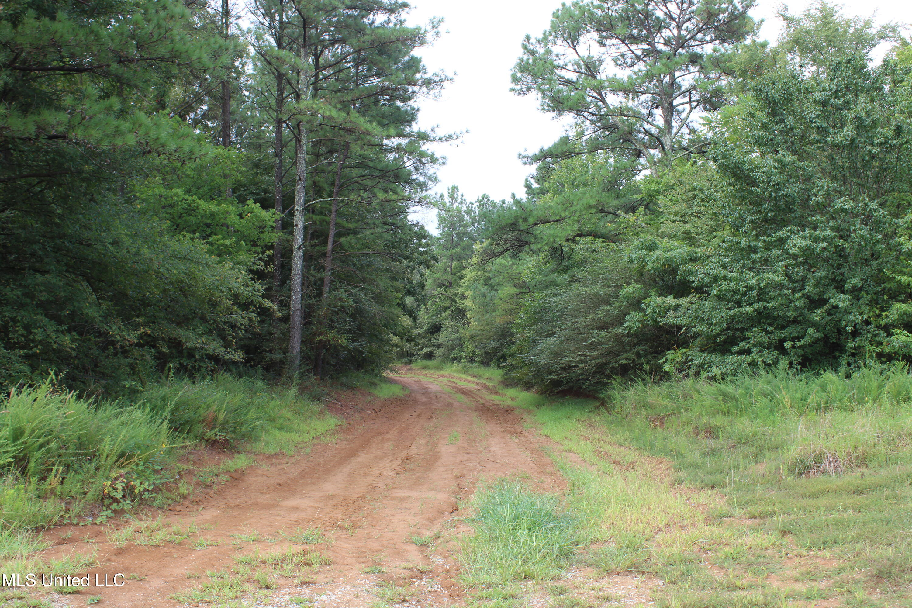 0 Edwards Road Property Photo 9