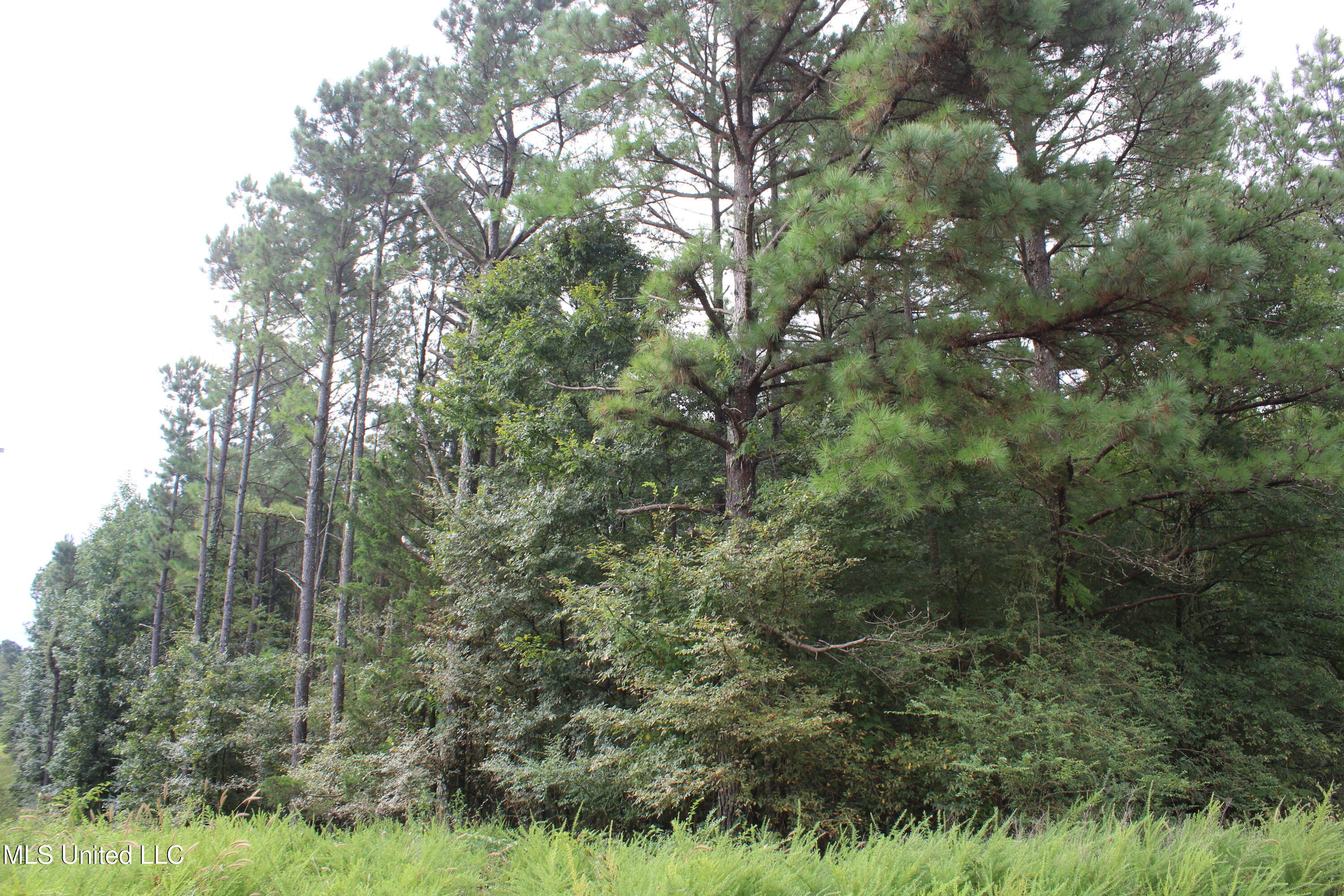 0 Edwards Road Property Photo 10