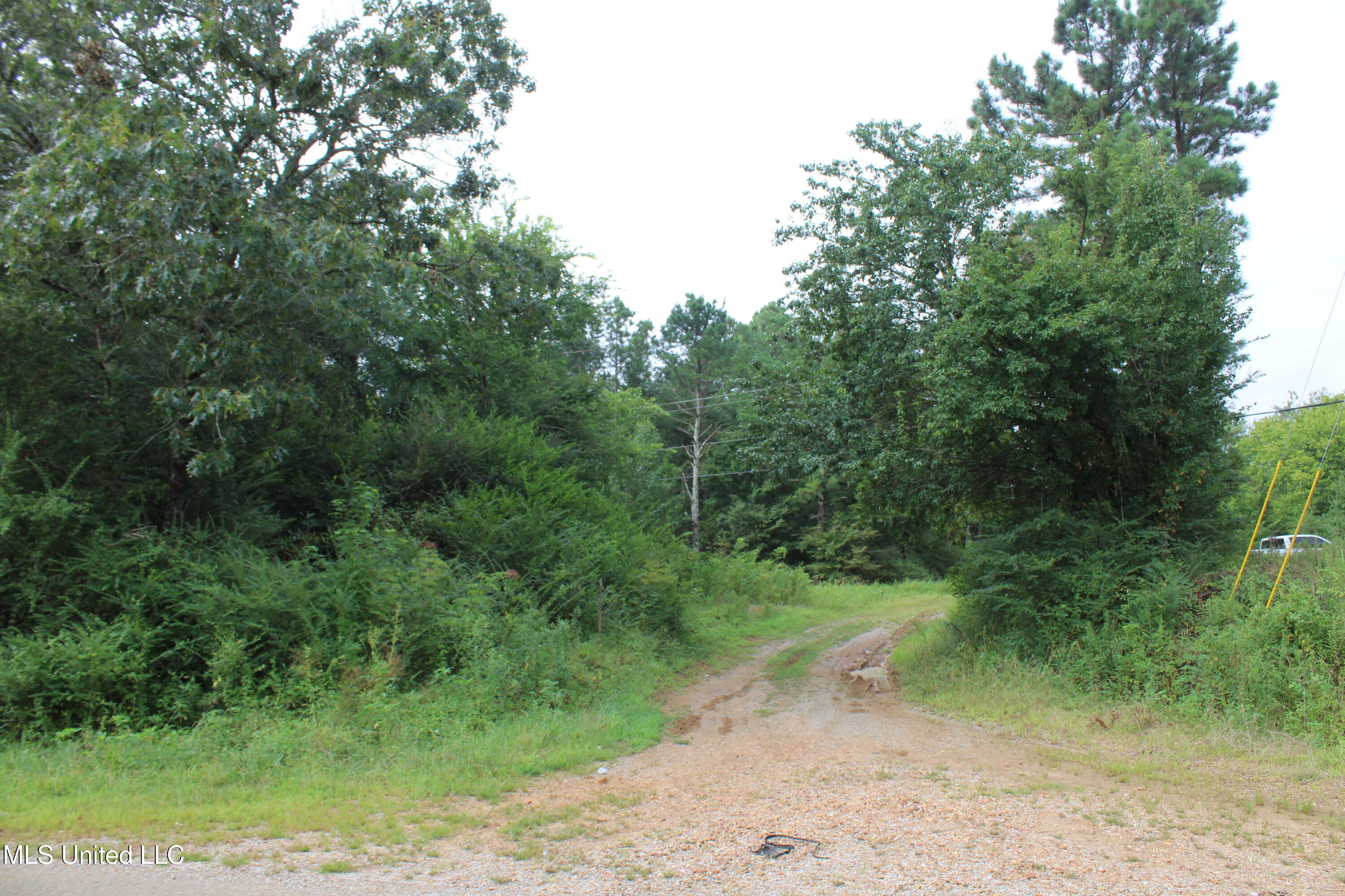 0 Edwards Road Property Photo 12