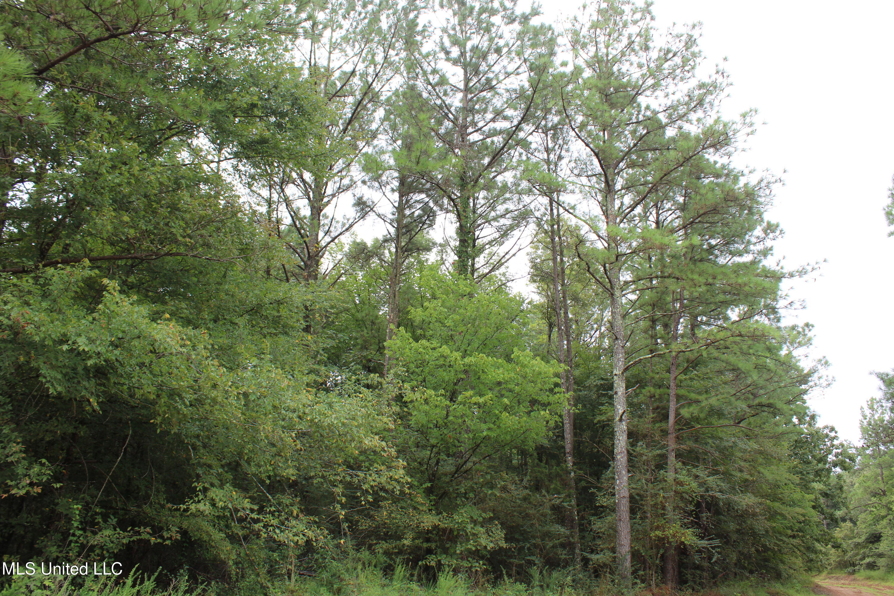 0 Edwards Road Property Photo 13