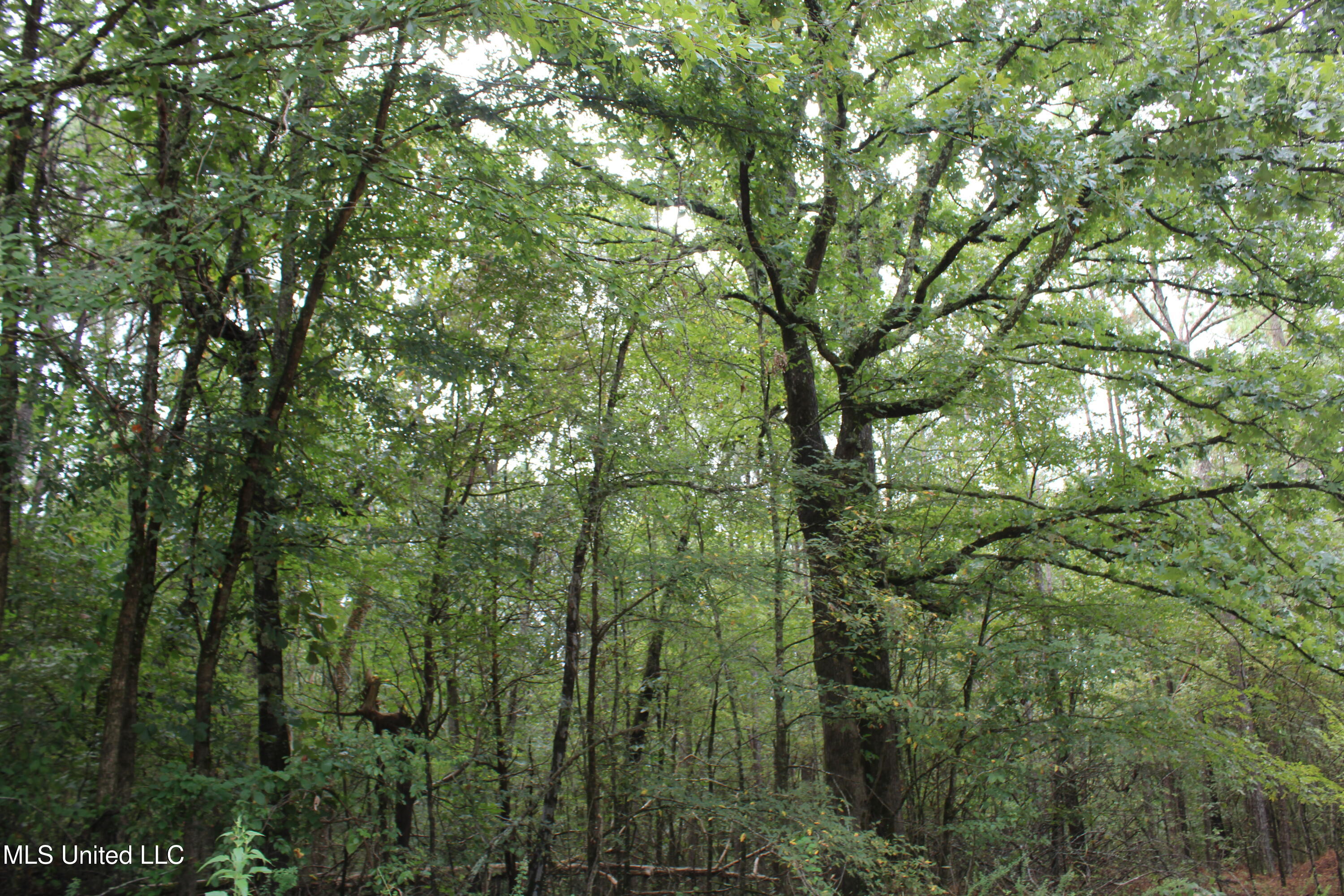 0 Edwards Road Property Photo 14