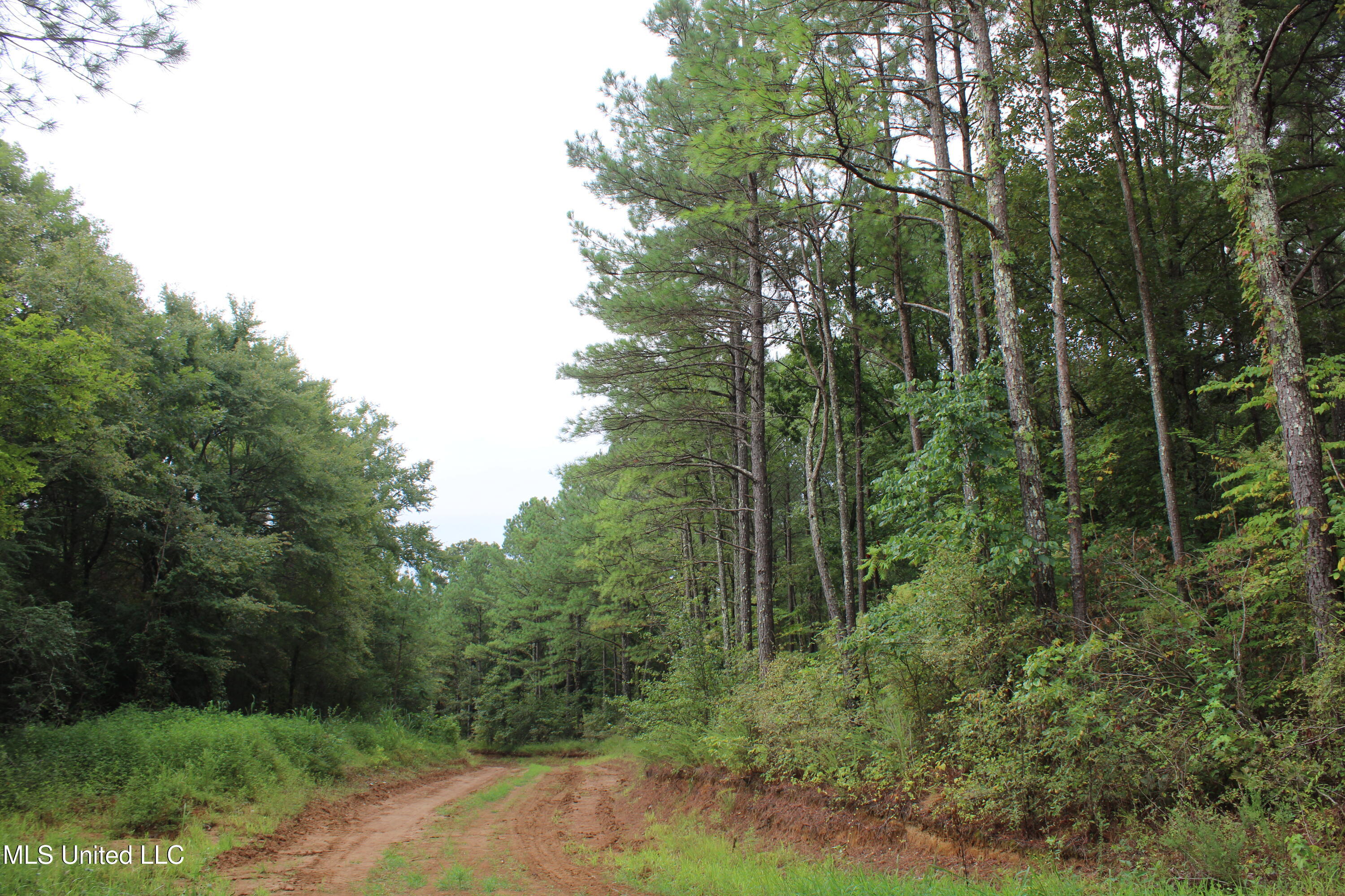 0 Edwards Road Property Photo 16