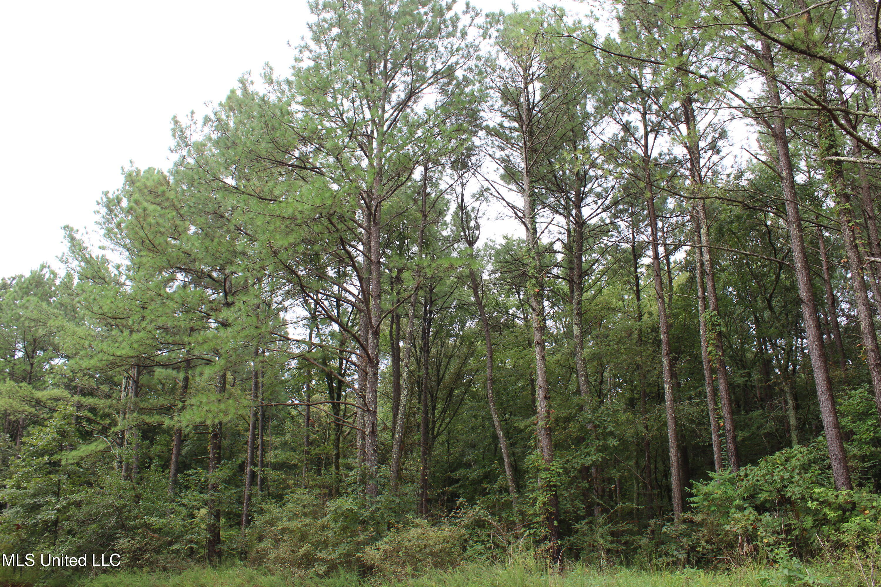 0 Edwards Road Property Photo 17