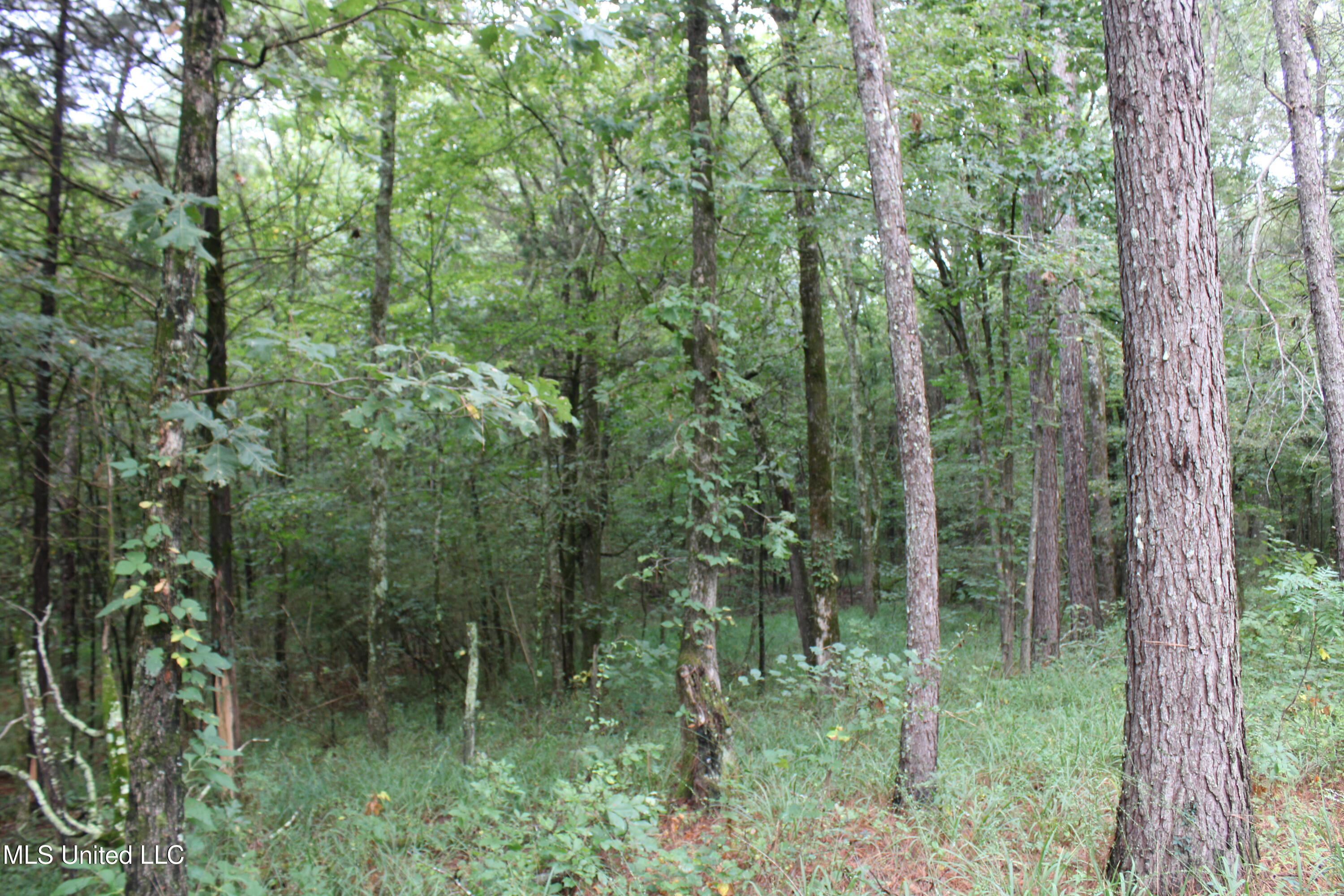 0 Edwards Road Property Photo 18