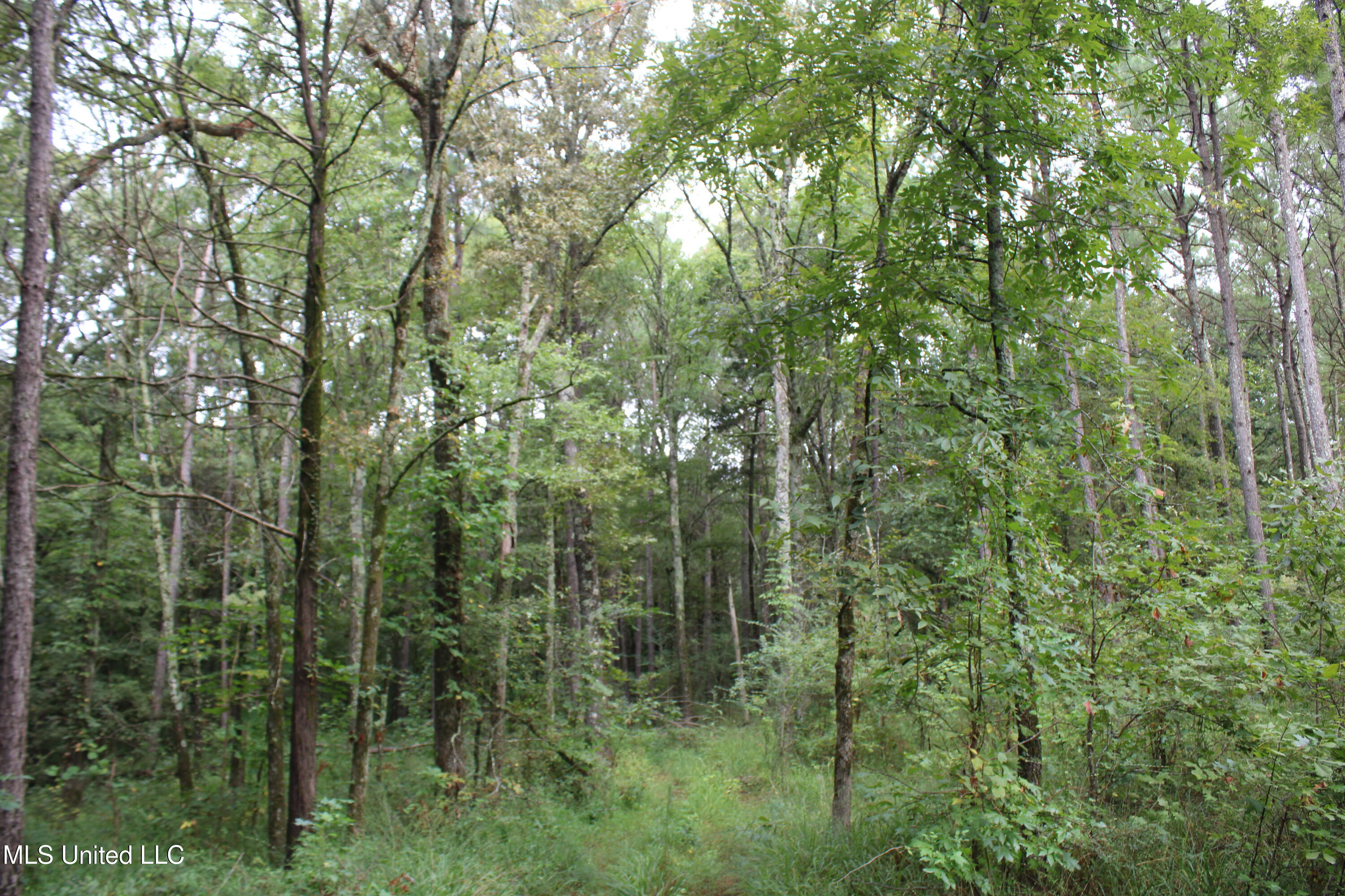 0 Edwards Road Property Photo 19