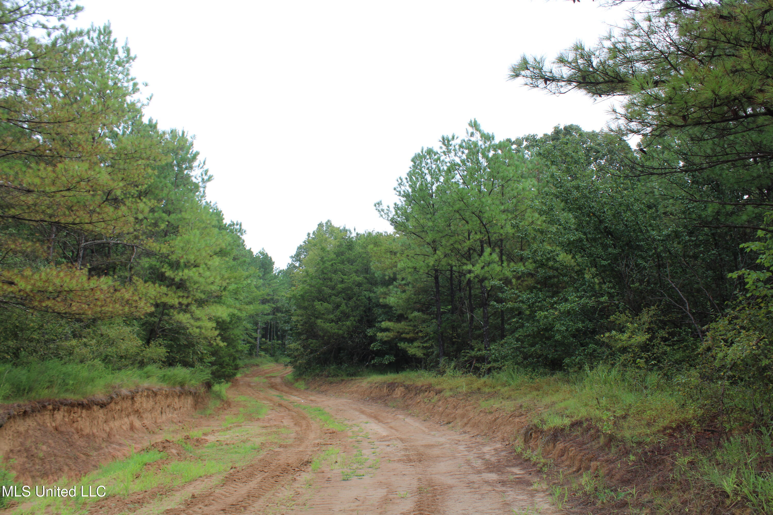 0 Edwards Road Property Photo 20