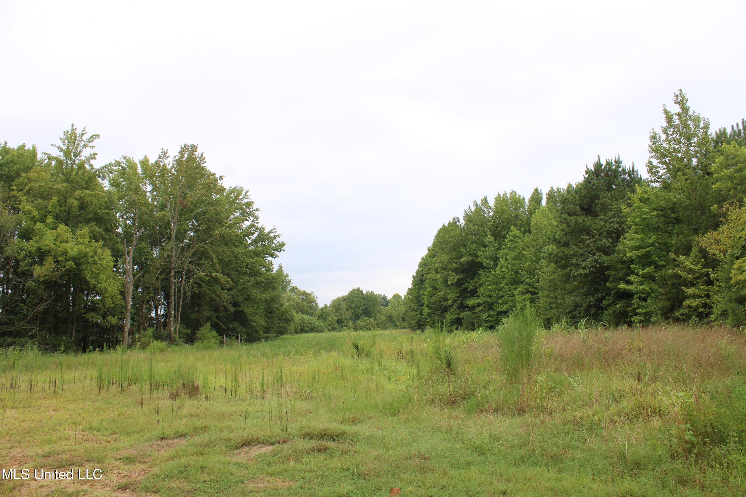 0 Edwards Road Property Photo 21