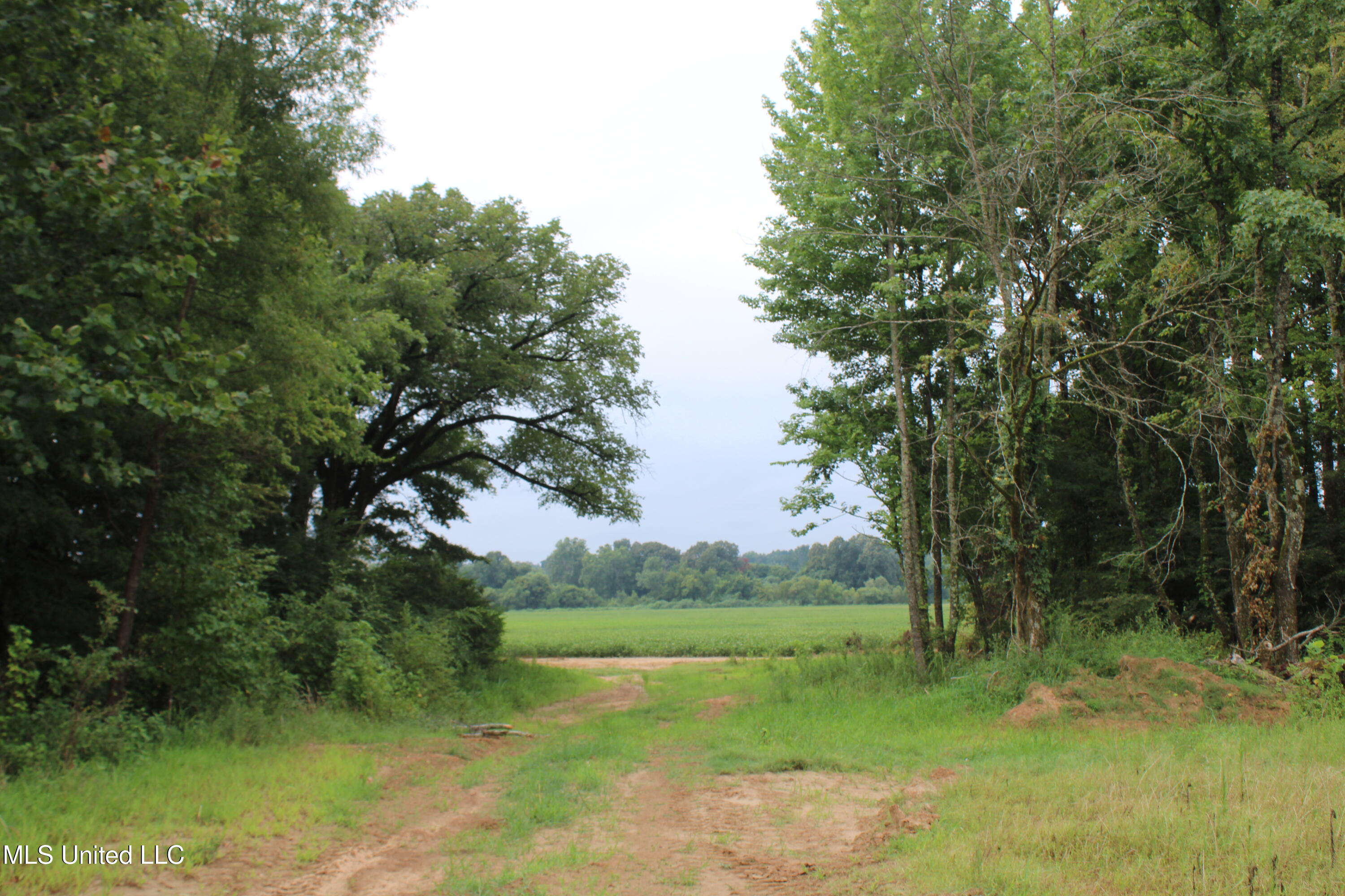 0 Edwards Road Property Photo 22