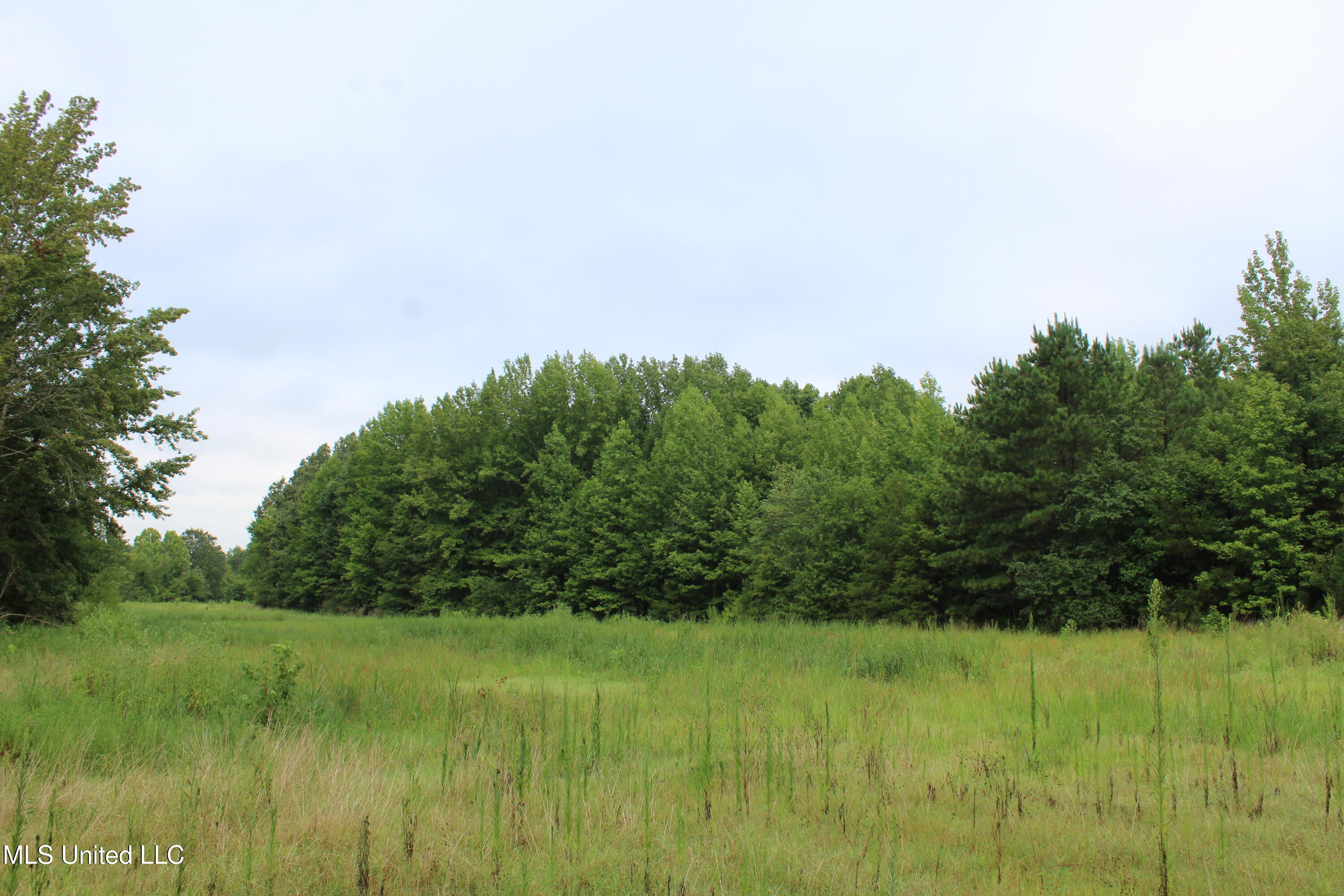 0 Edwards Road Property Photo 23