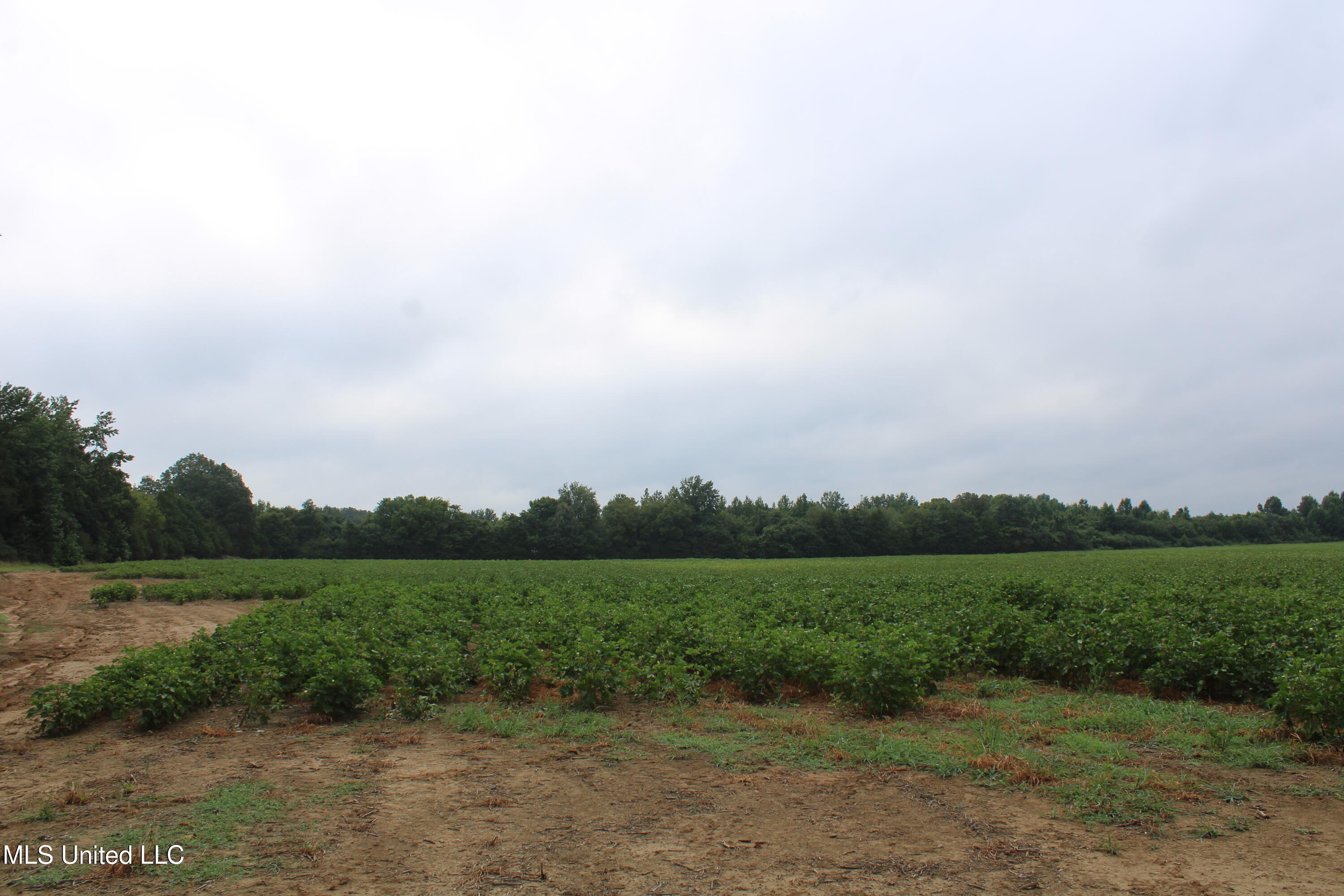 0 Edwards Road Property Photo 24