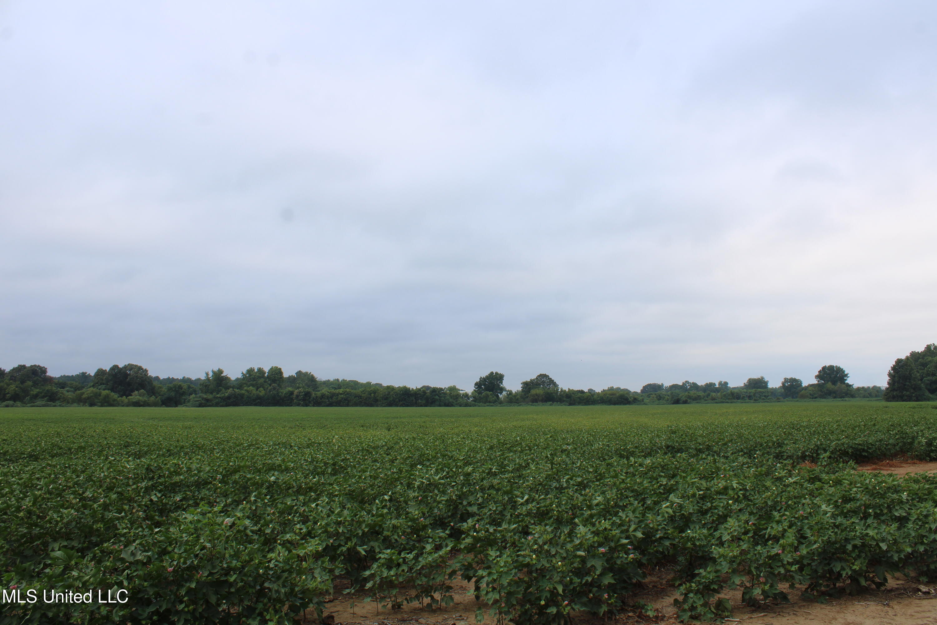 0 Edwards Road Property Photo 25