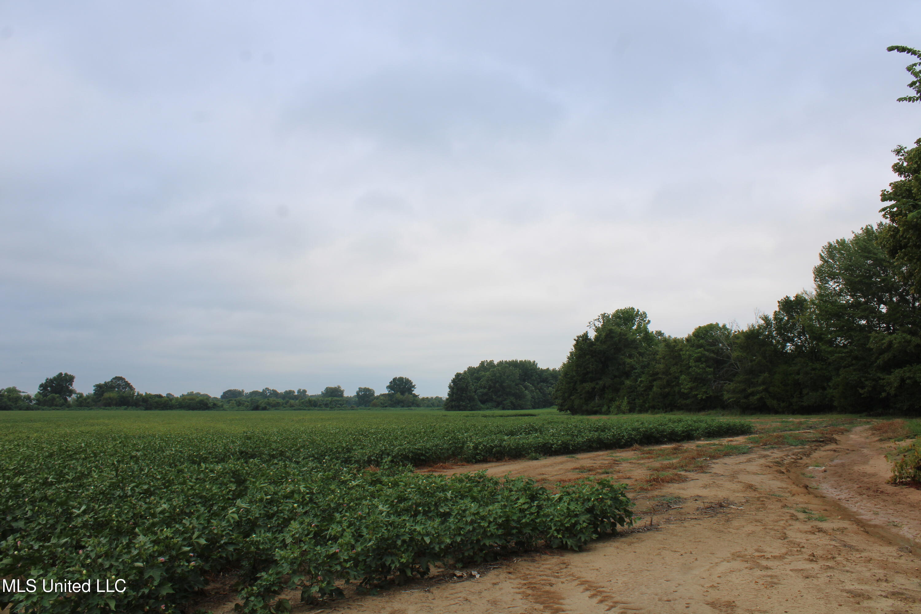 0 Edwards Road Property Photo 26