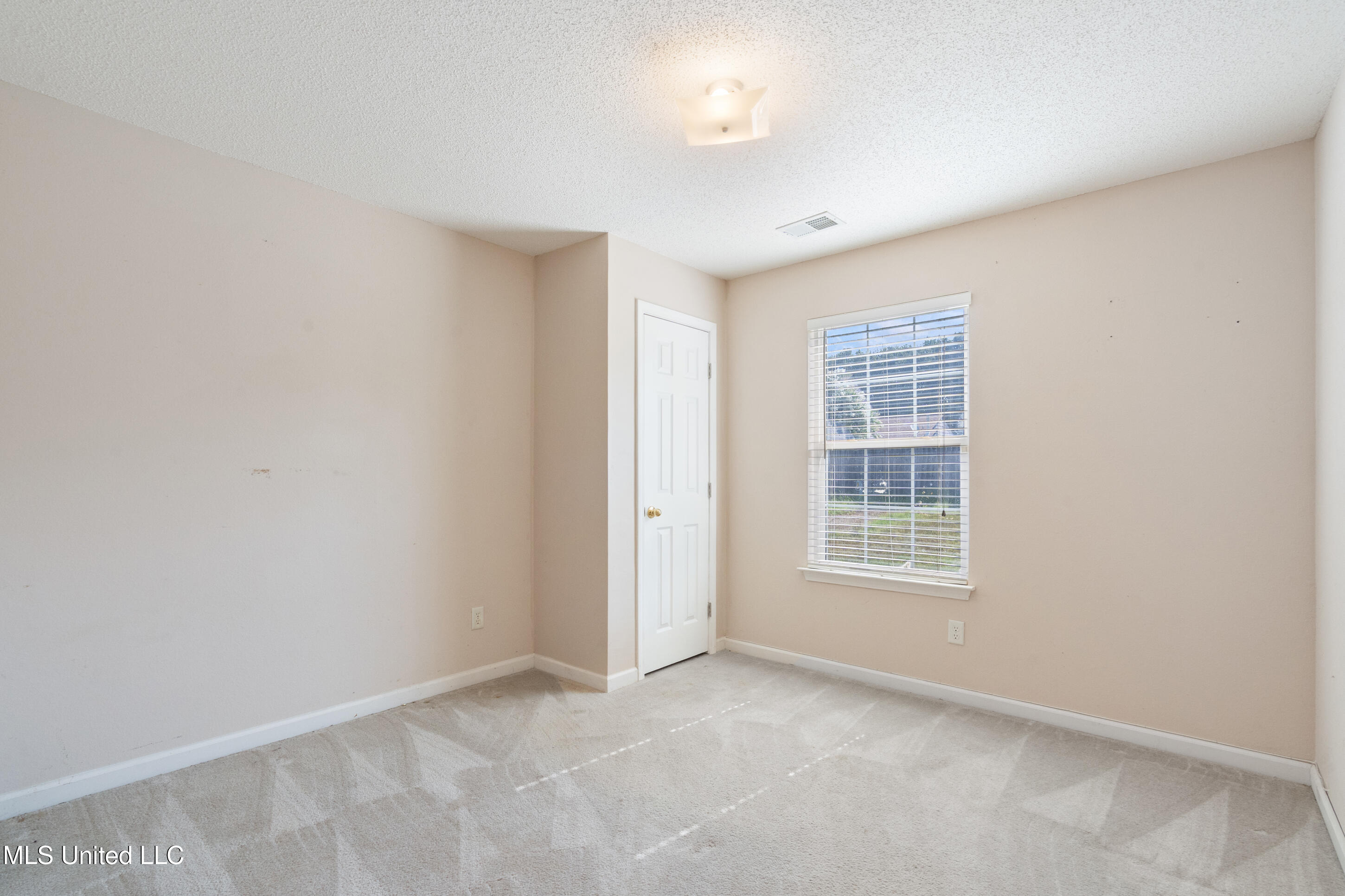 7338 Hunters Horn Drive Property Photo 13