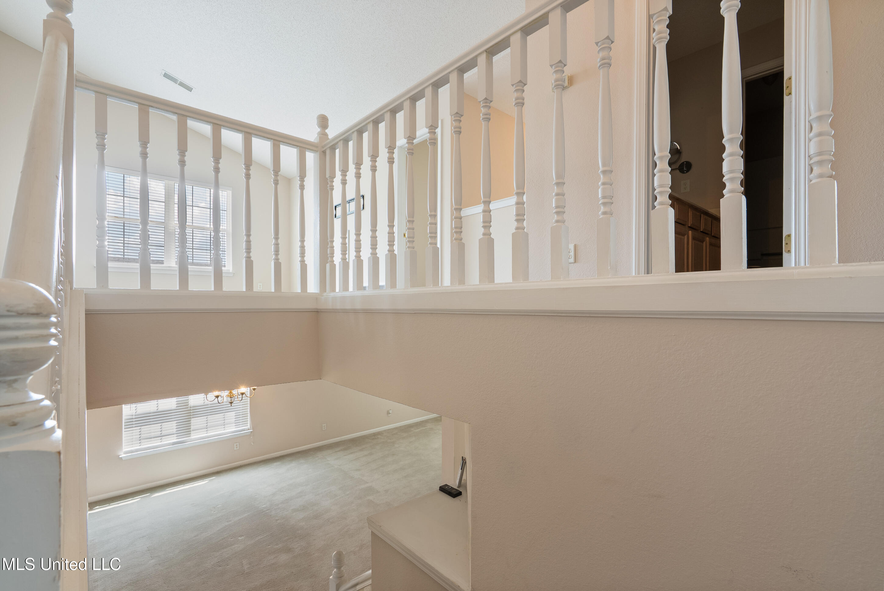 7338 Hunters Horn Drive Property Photo 18