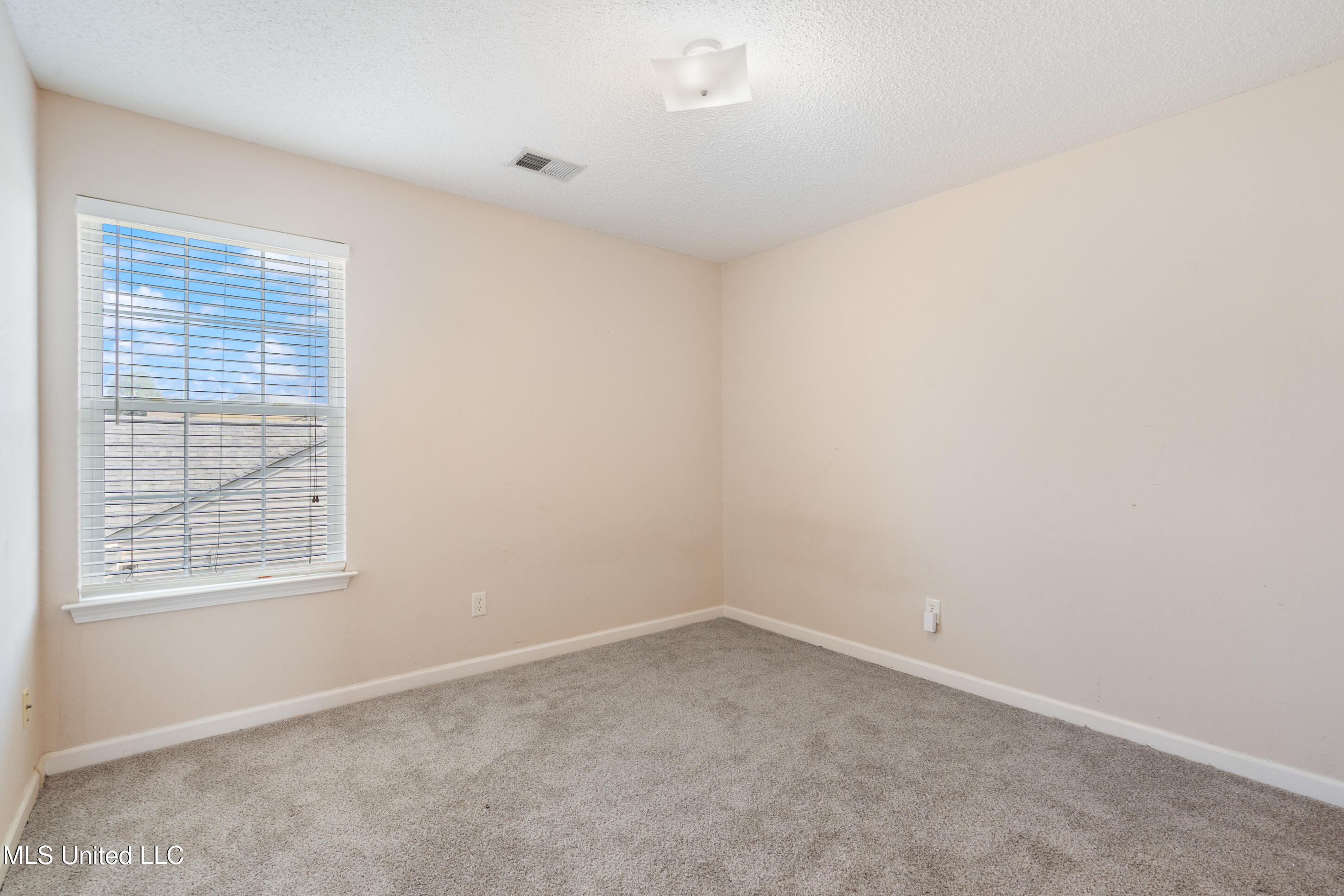 7338 Hunters Horn Drive Property Photo 33