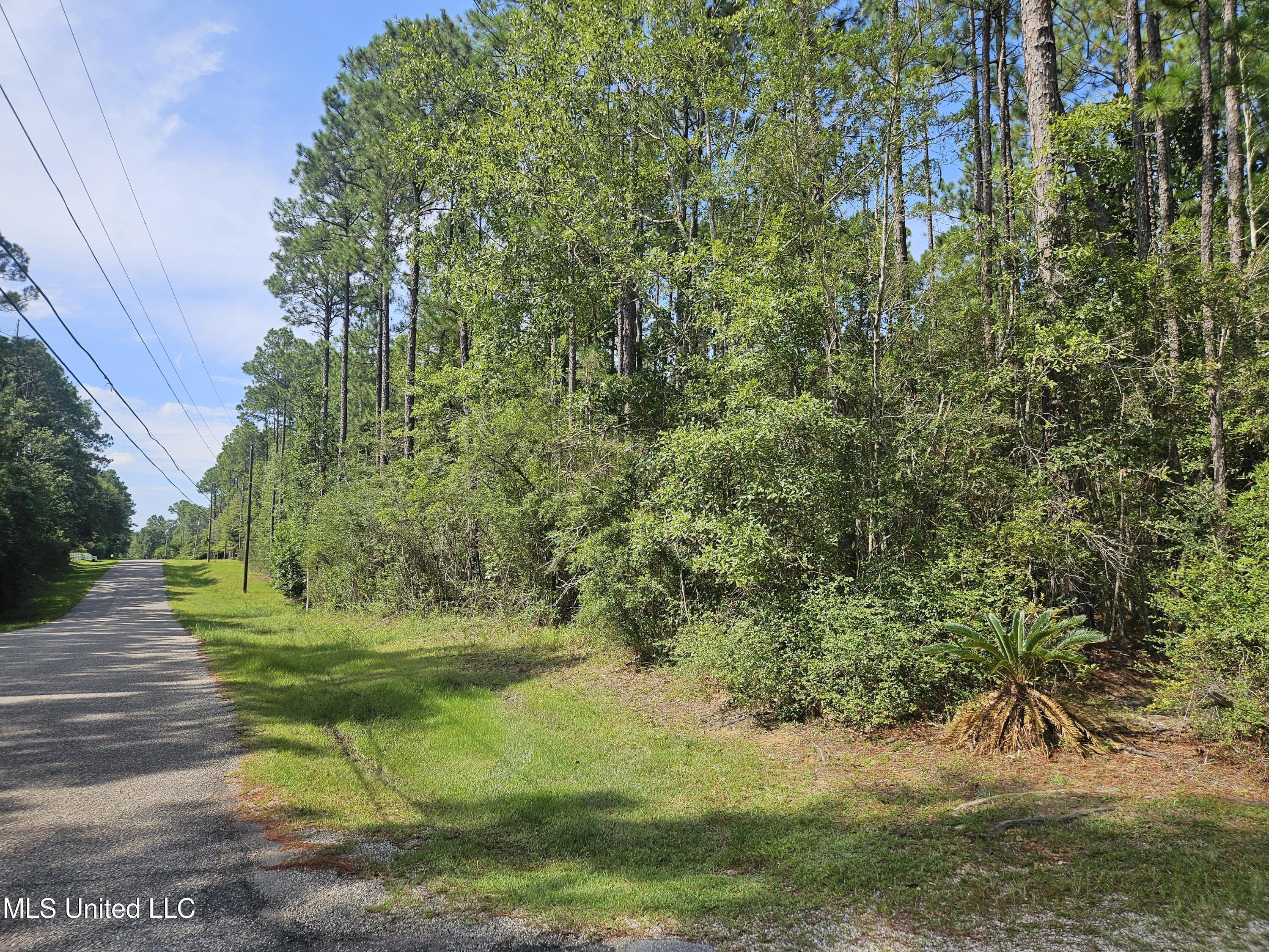 0 N Mill Creek Drive Property Photo 1