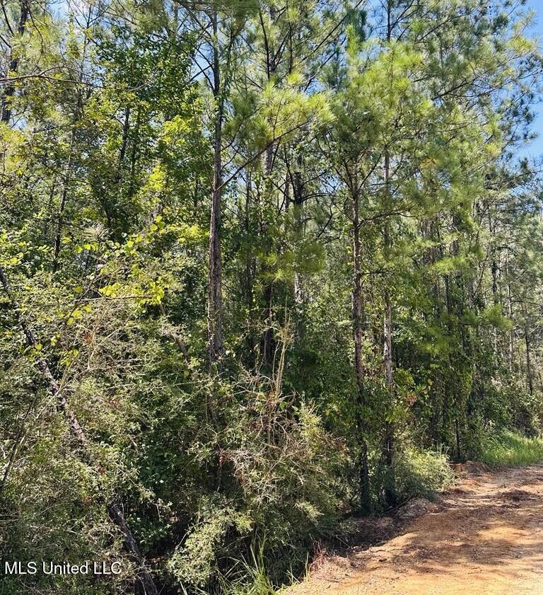 136 Acres Moody Road