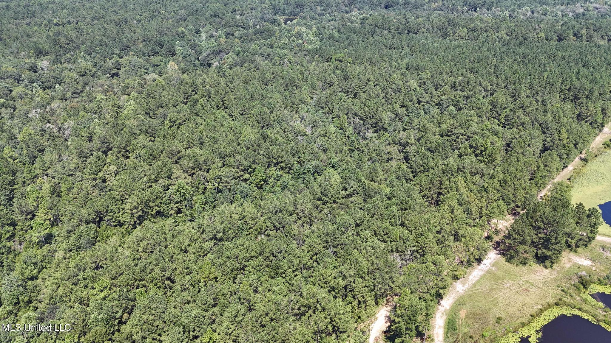 136 Acres Moody Road Property Photo 3