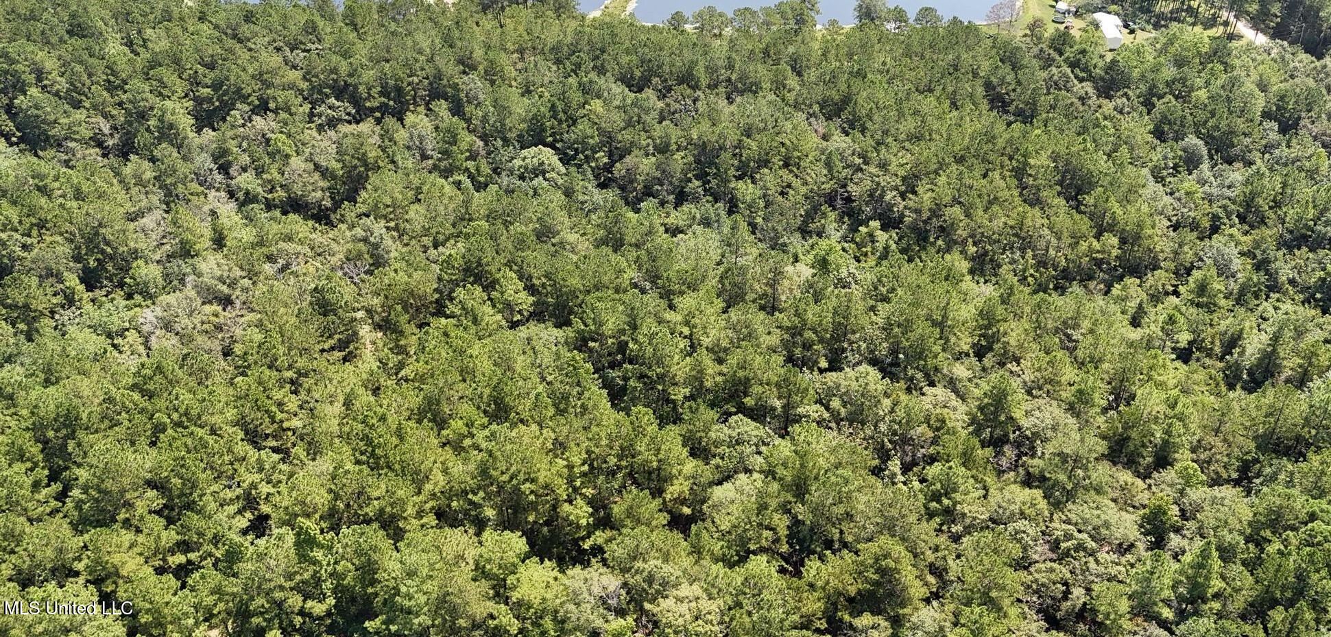 136 Acres Moody Road Property Photo 4