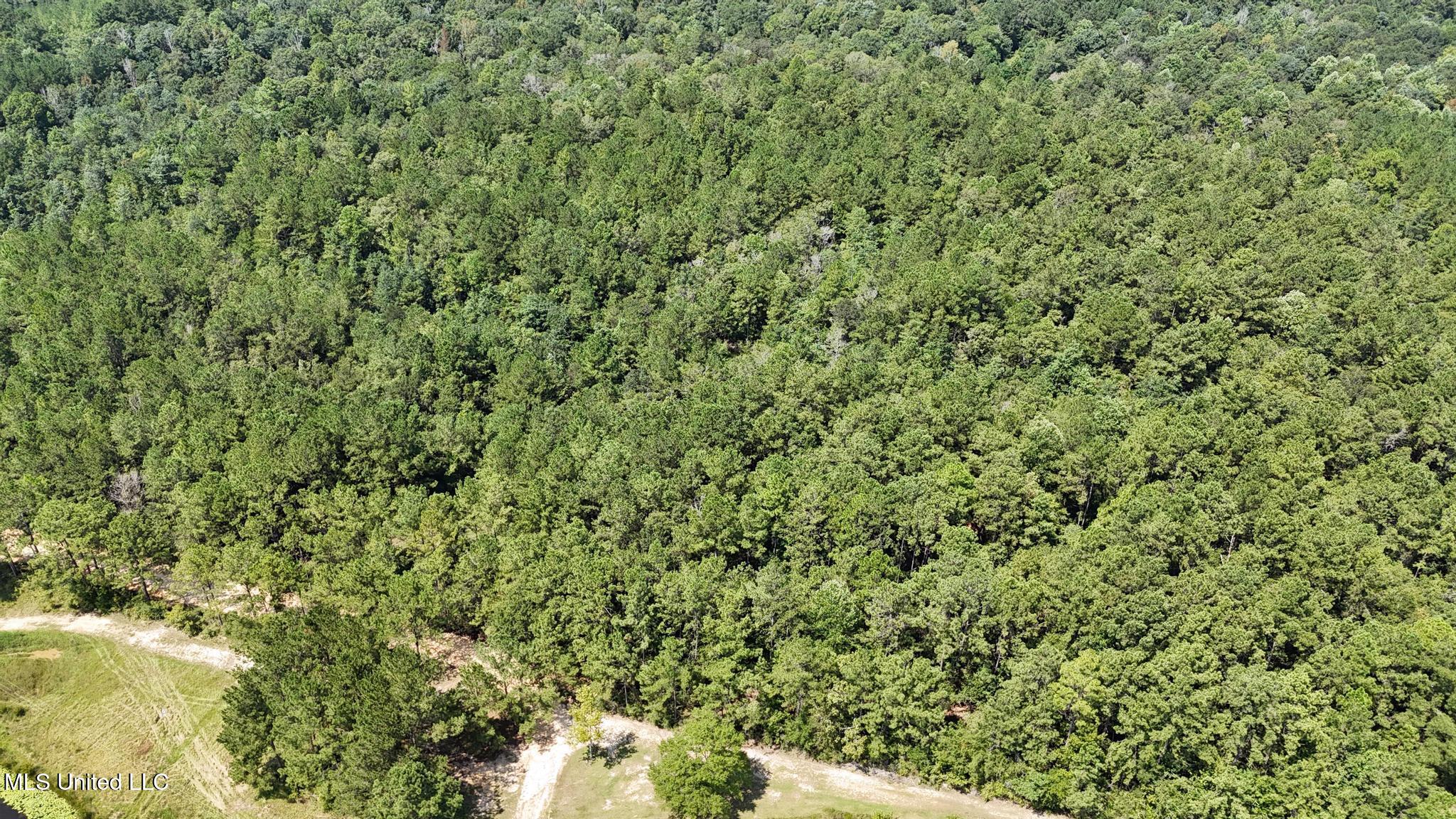 136 Acres Moody Road Property Photo 6