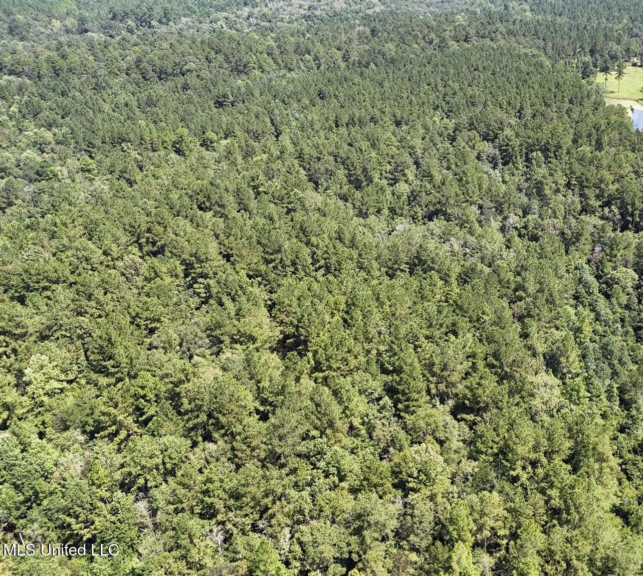 136 Acres Moody Road Property Photo 7