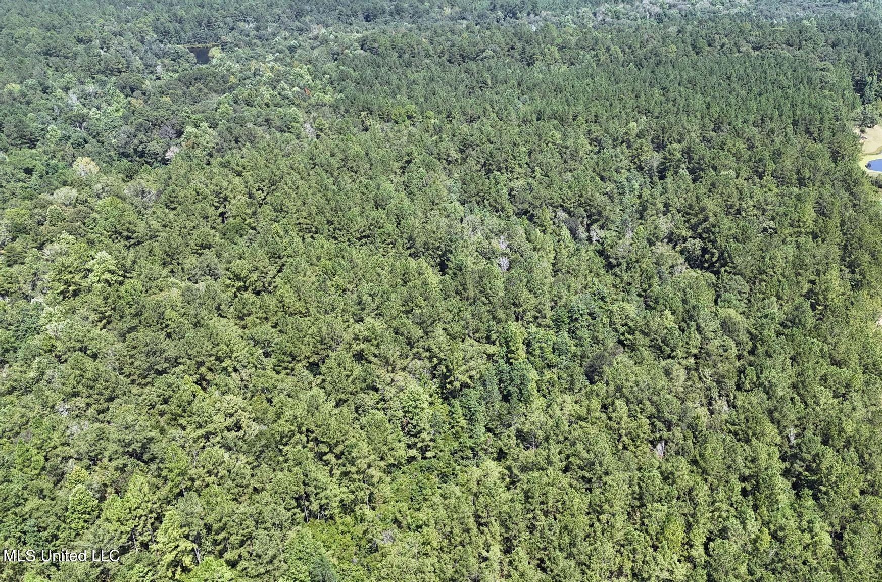 136 Acres Moody Road Property Photo 8