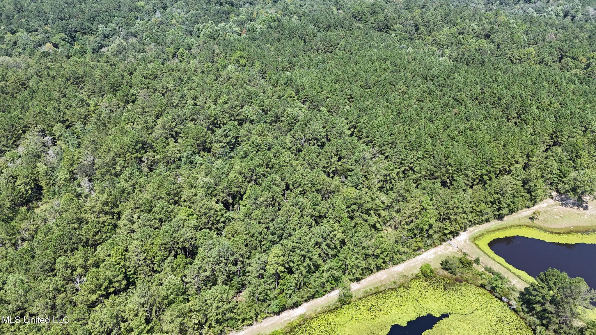 136 Acres Moody Road Property Photo 9