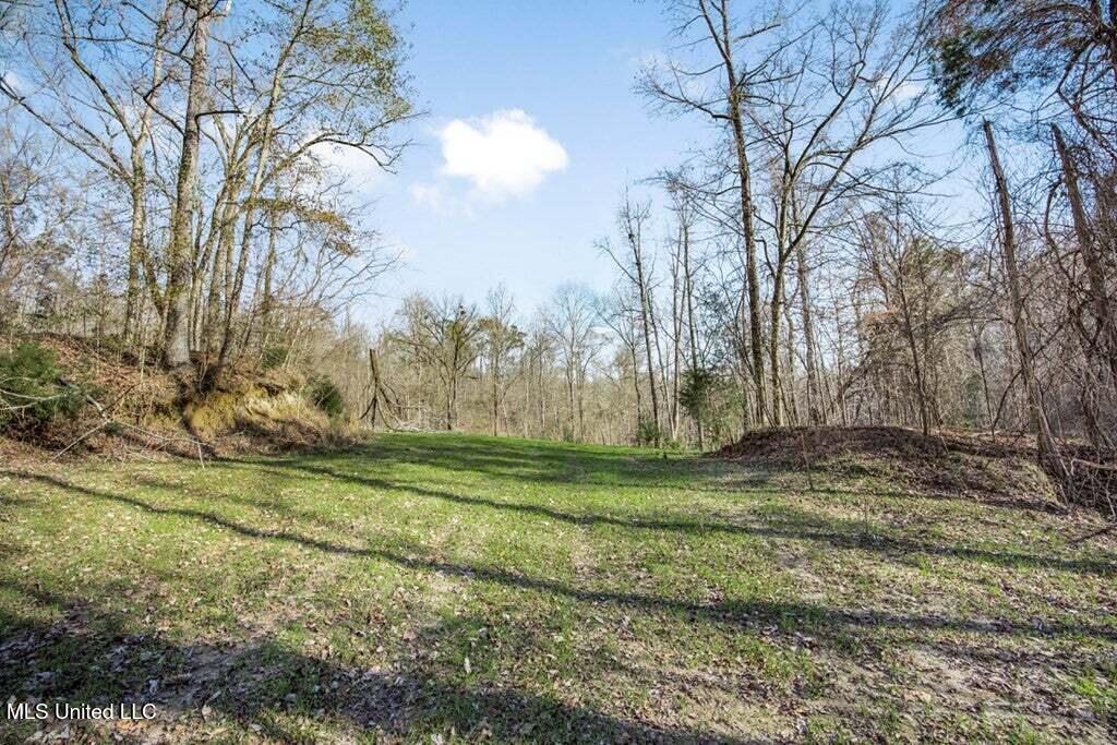 200 Robert Williams Road Property Photo 16