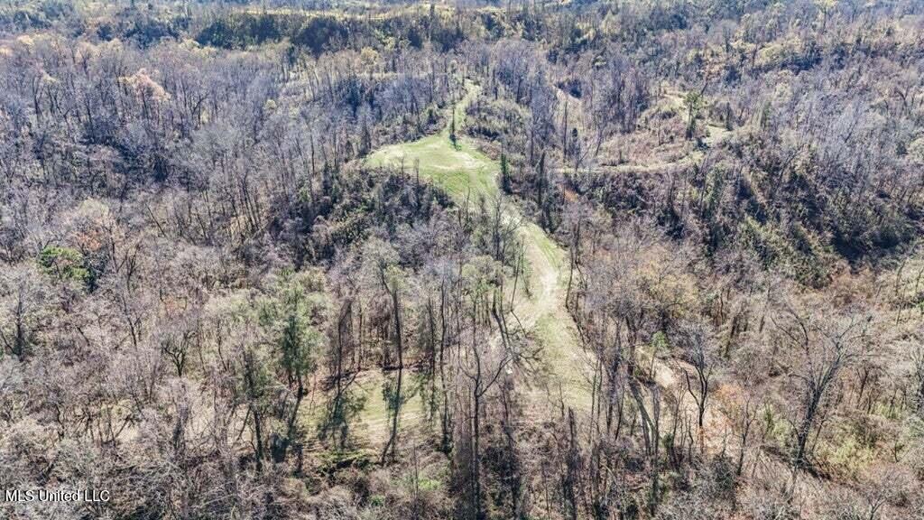 200 Robert Williams Road Property Photo 21