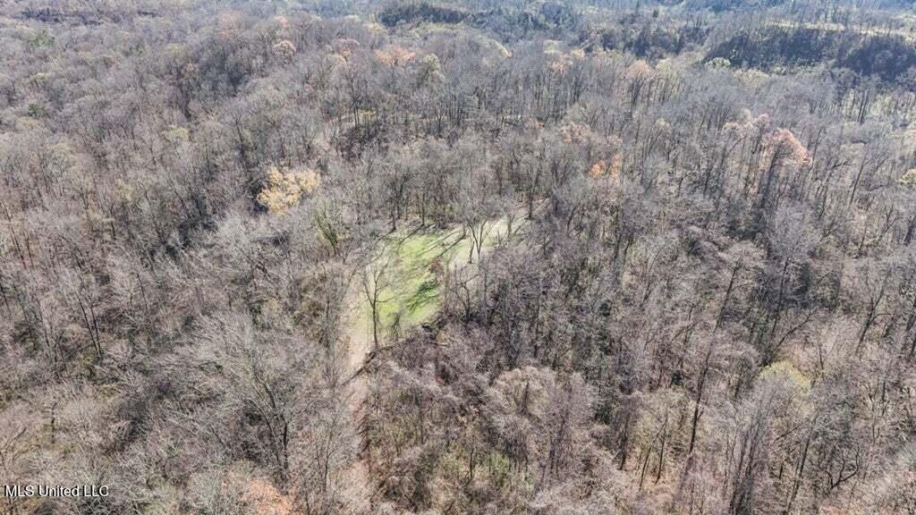 200 Robert Williams Road Property Photo 22