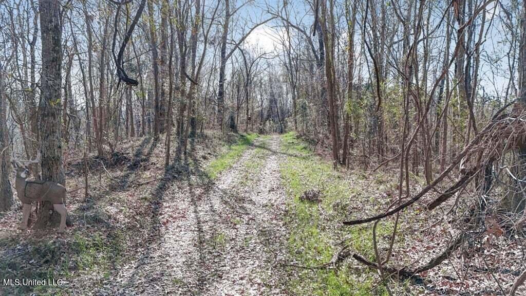 200 Robert Williams Road Property Photo 23